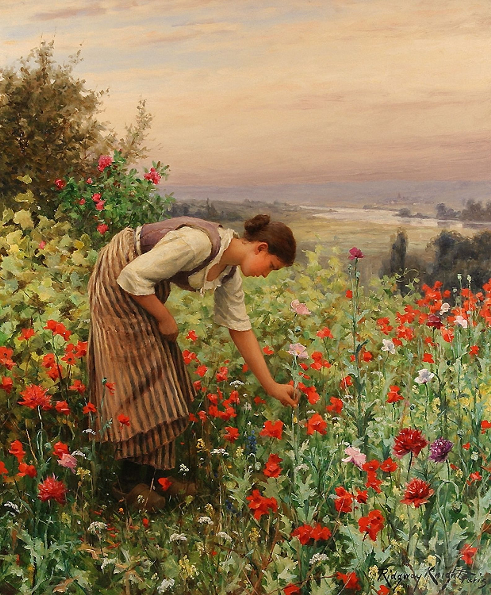 Girl Picking Poppies by Daniel Ridgway Knight