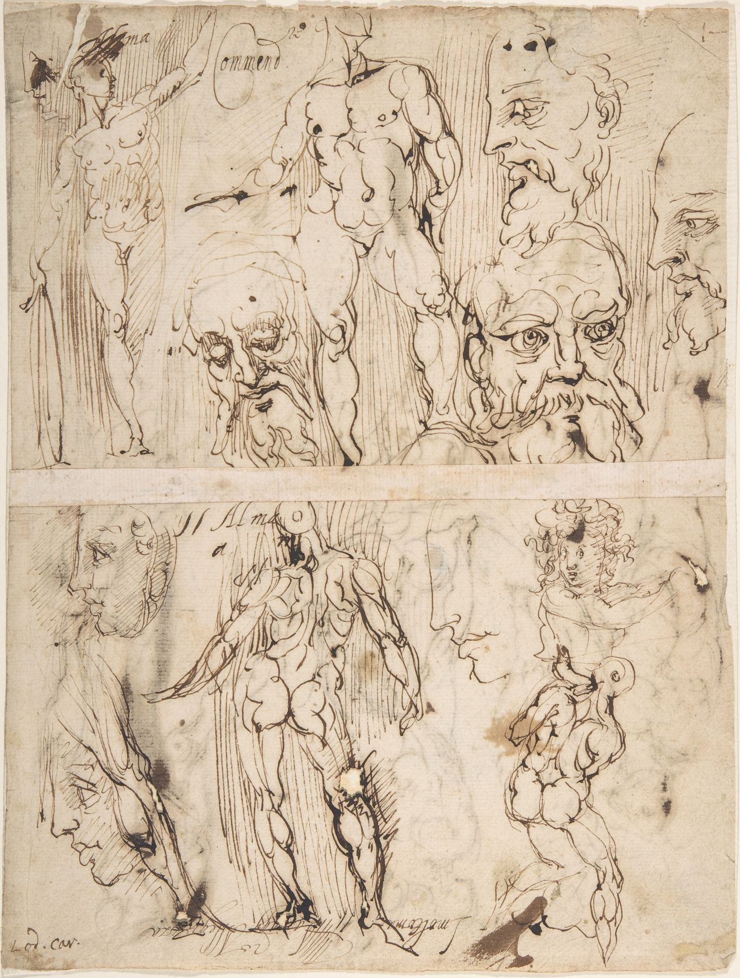 Studies of Nudes and Human Heads (recto and on the verso) by Agostino Carracci