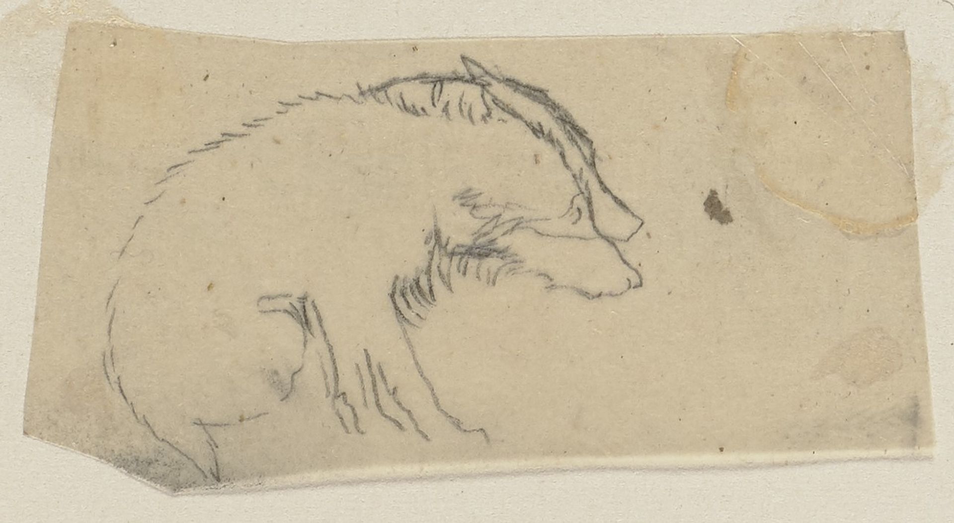 Der Hund des Mondes, sitzend und mit hängendem Kopf, nach rechts by Paul Konewka
