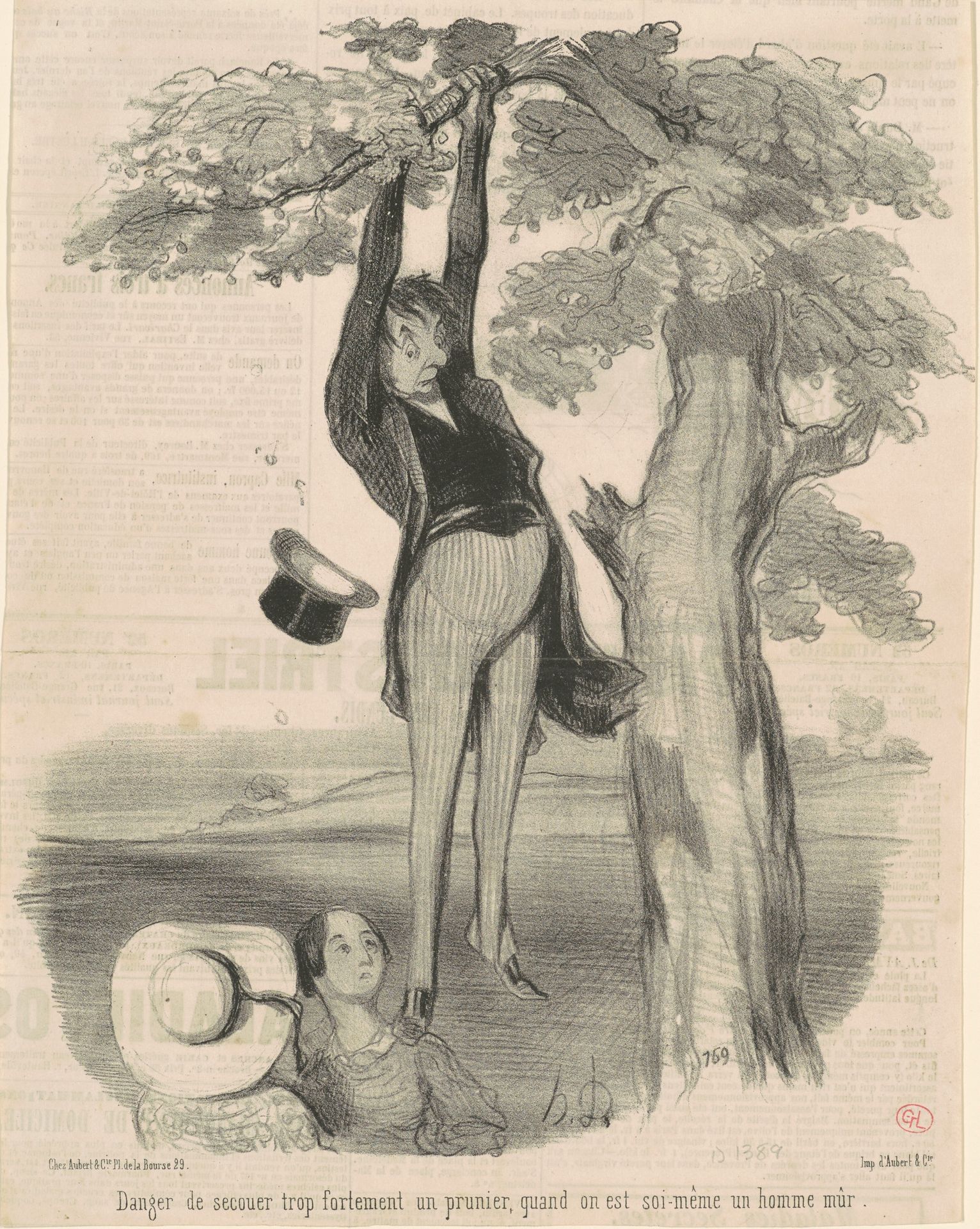 Danger de secouer trop fortement ... Un prunier by Honoré Daumier