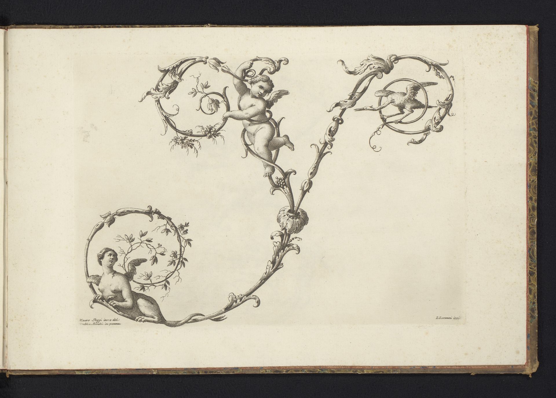 Ornamentele letter Y by Lorenzo Lorenzi