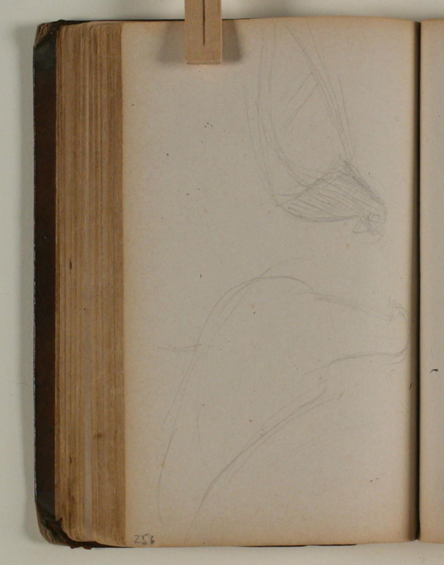 Studier af duer by Niels Larsen Stevns
