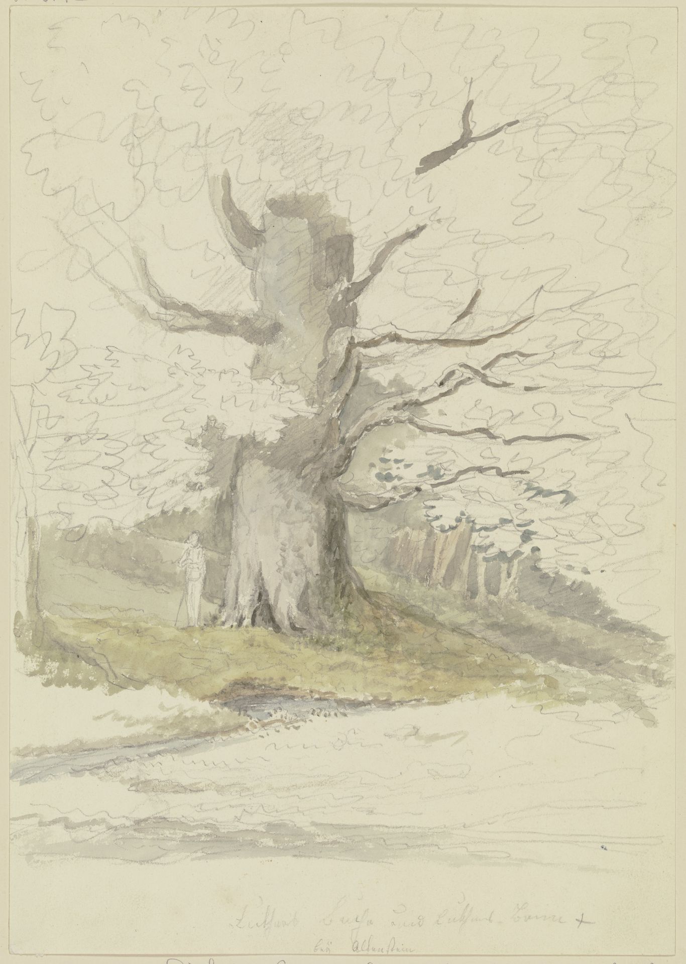 Luther-Buche bei Altenstein by Georg Melchior Kraus