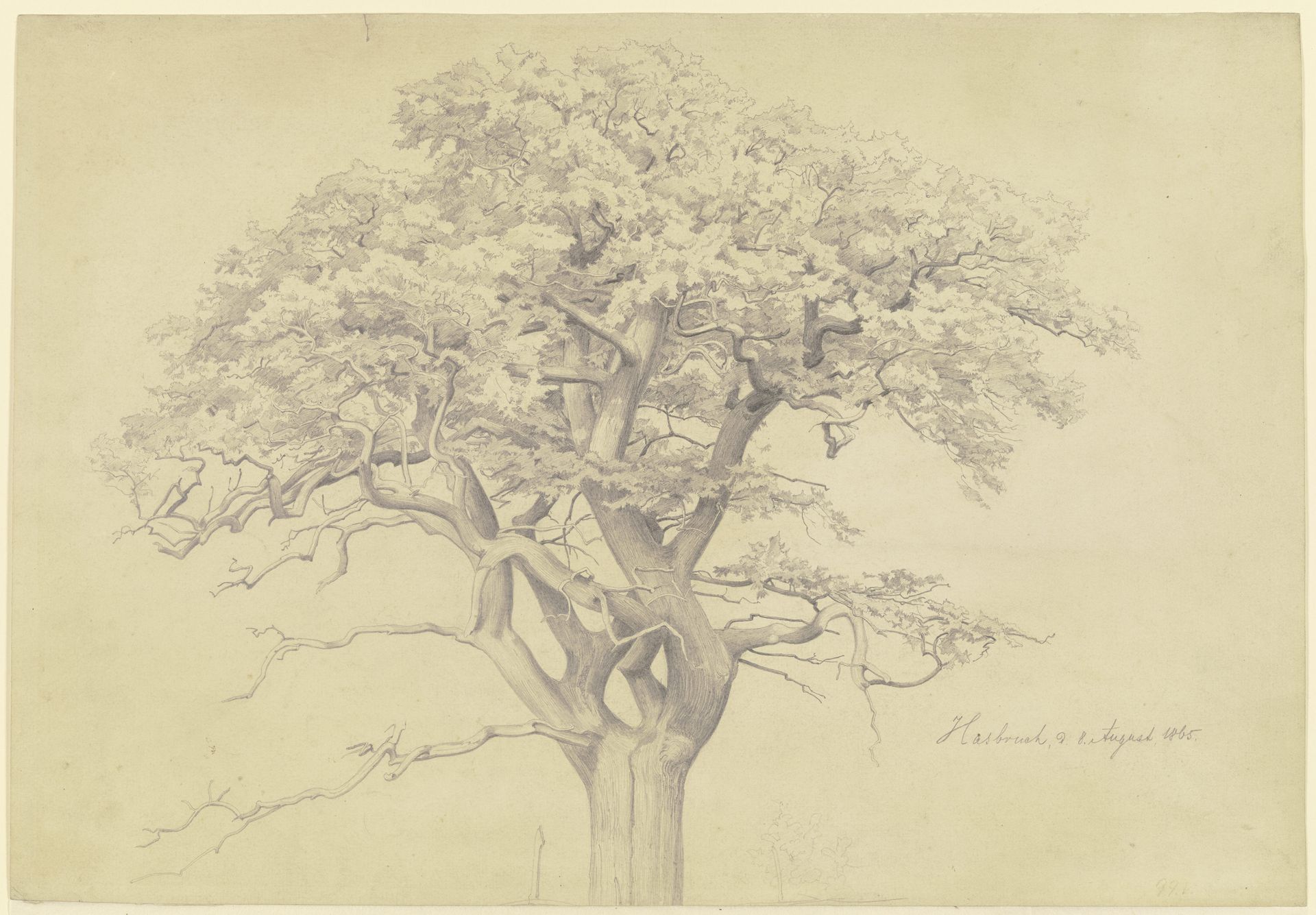 Treetop by Edmund Friedrich Kanoldt