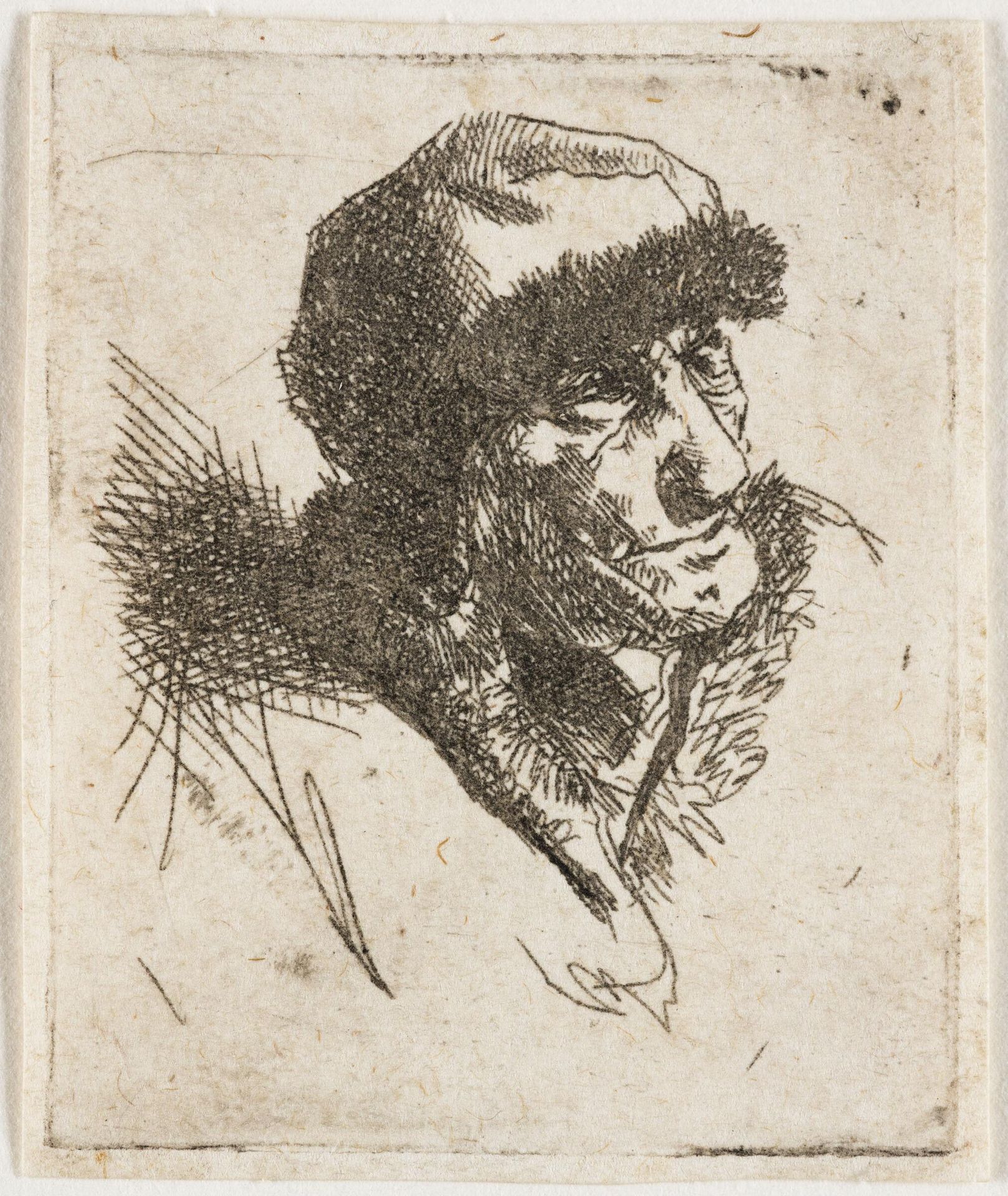 An Old Woman with a Fur Cap by Cornelis Bega