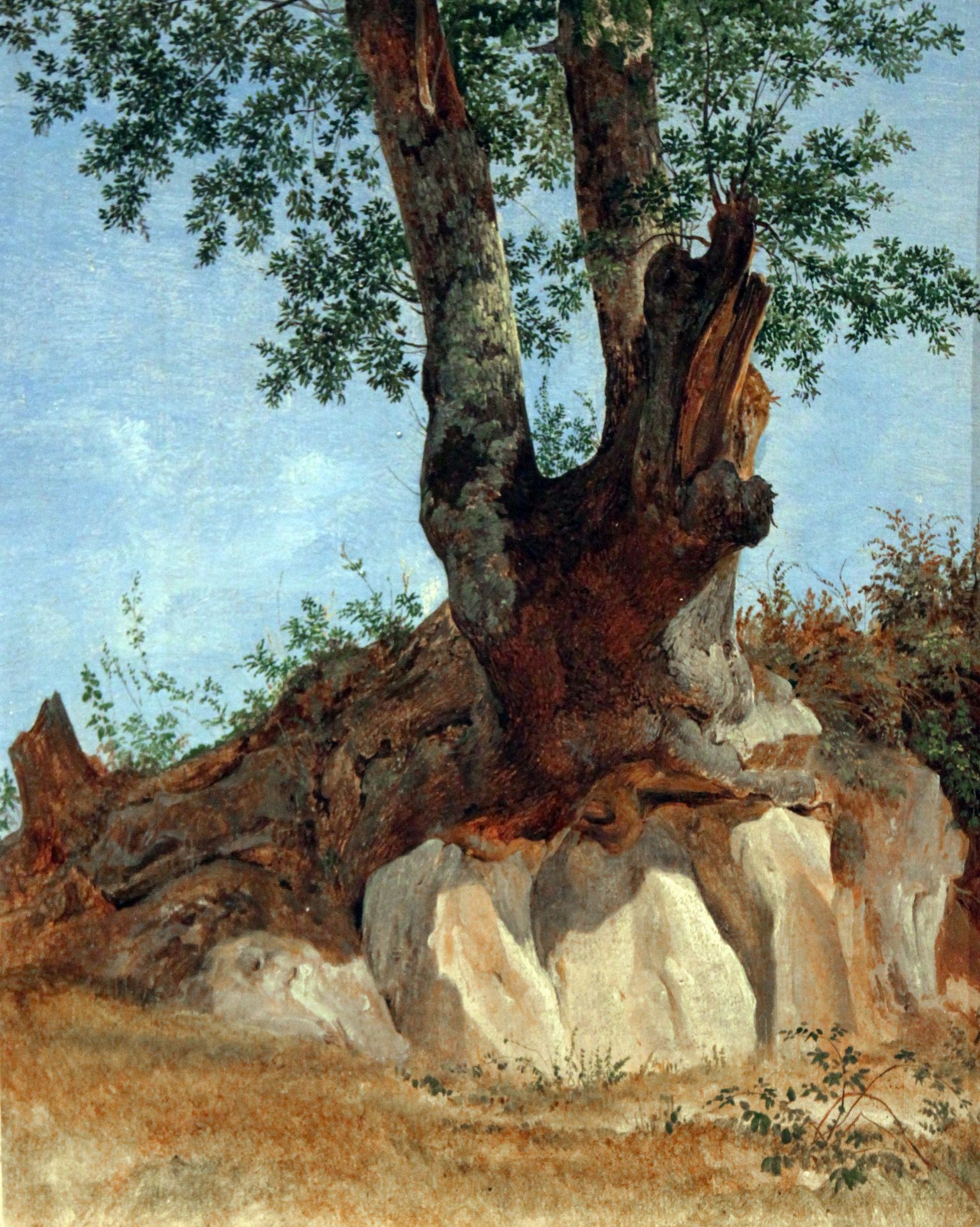 A Tree in the Campagna by Heinrich Reinhold
