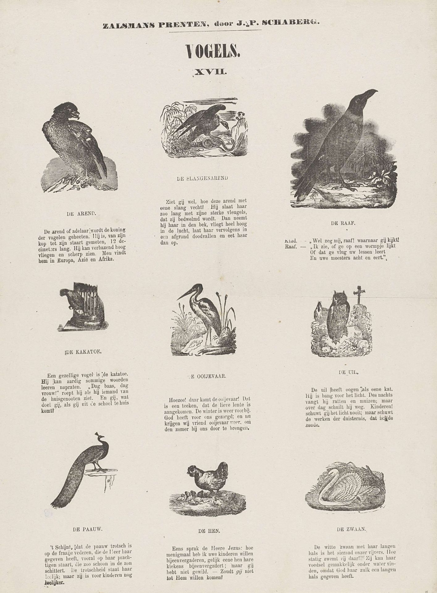 Vogels by Gerhardus Philippus Zalsman