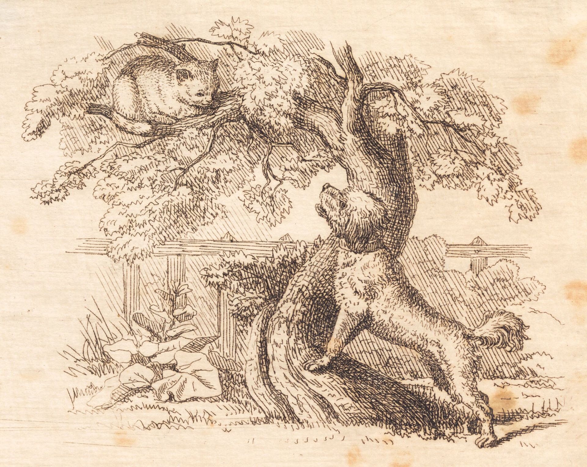 Illustration til "Halvhundrede Fabler for Børn" af Hey by Martinus Rørbye