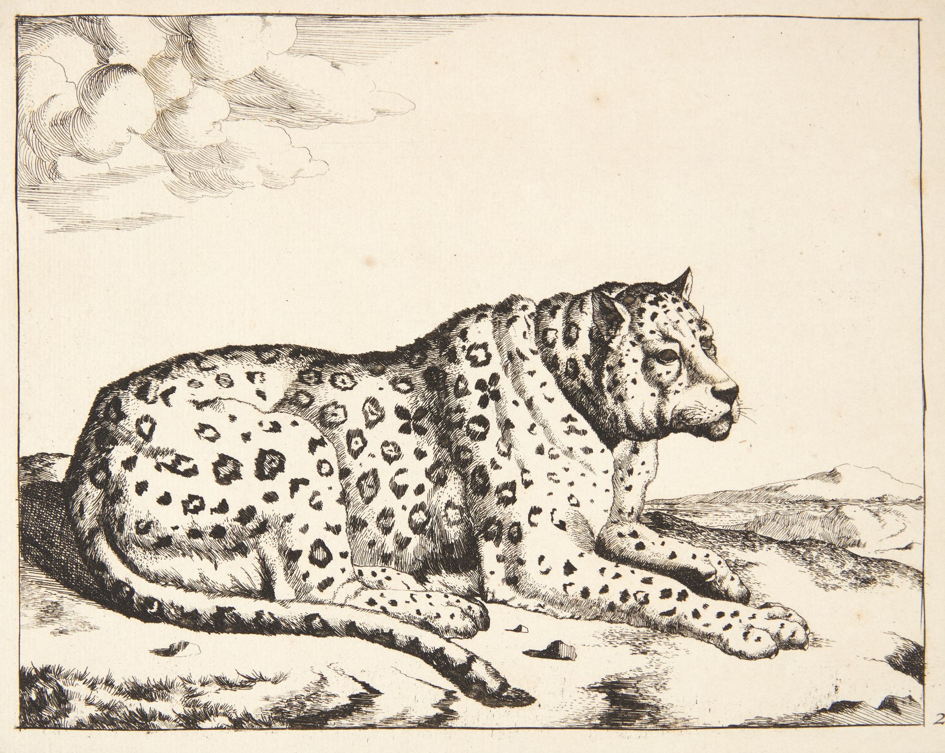 Liggende leopard, vendt mod højre by Marcus de Bye