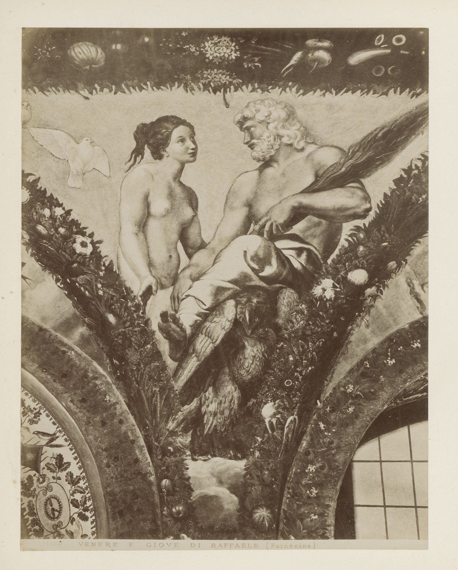 Fotoreproductie van fresco Venus en Jupiter door Rafaël in het Farnesina te Rome by Domenico Anderson