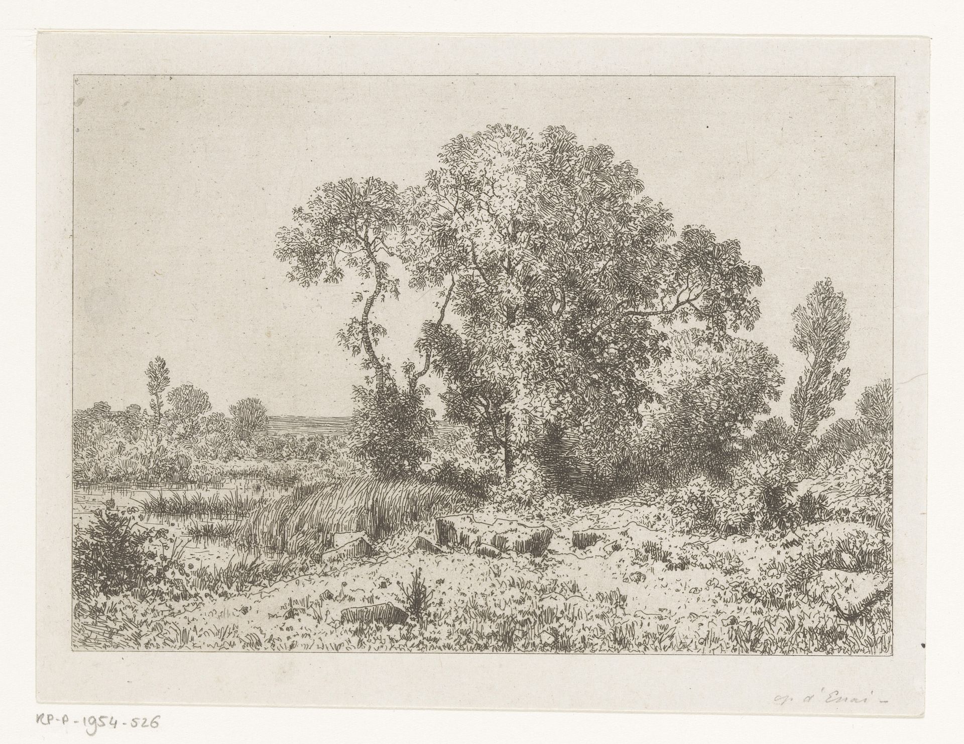 Boomgroep bij een moeras by Jean Alexis Achard