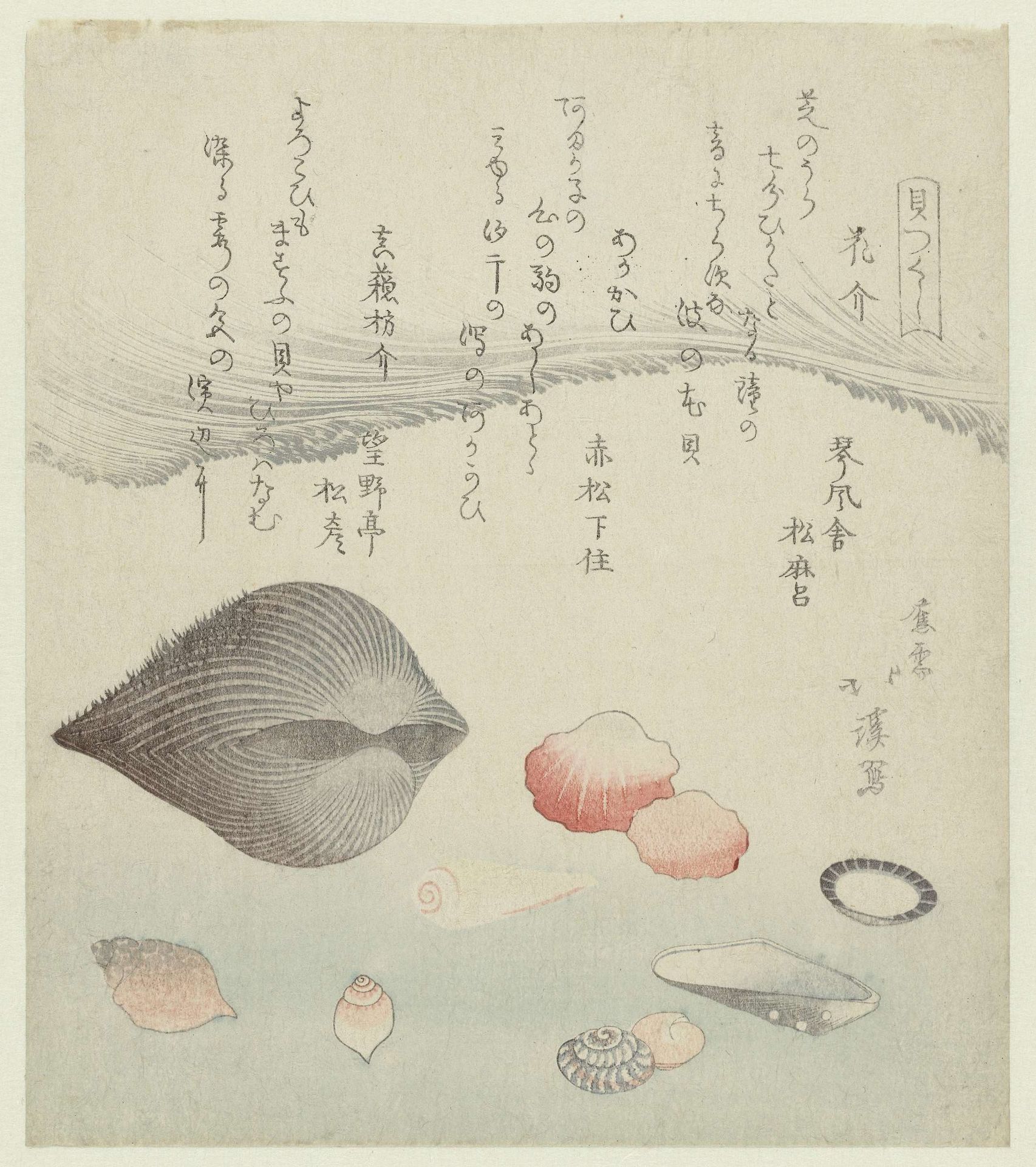 Bloemschelp, rode schelp en de puur rode schelp by Totoya Hokkei