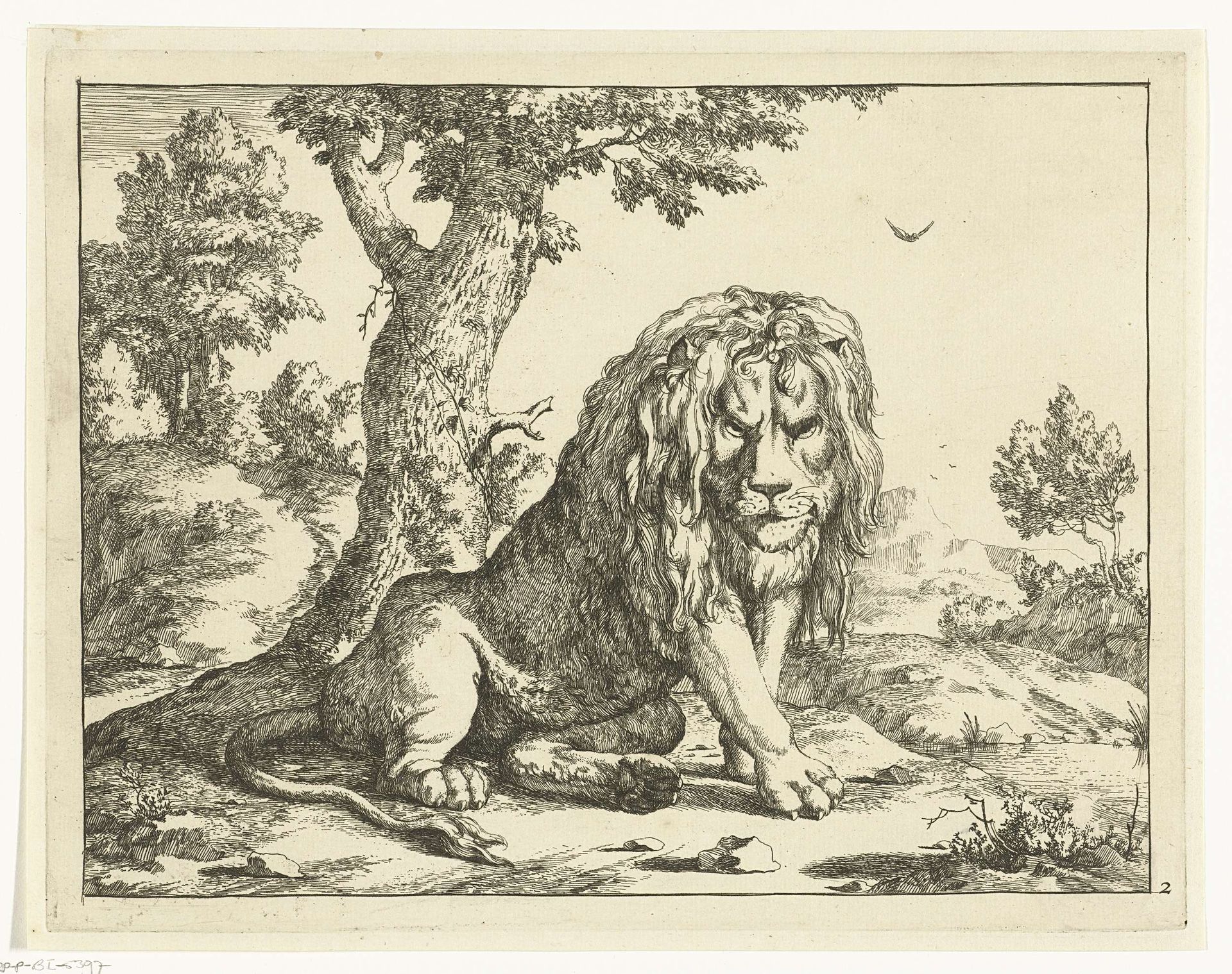 Leeuw zittend bij boom by Marcus de Bye