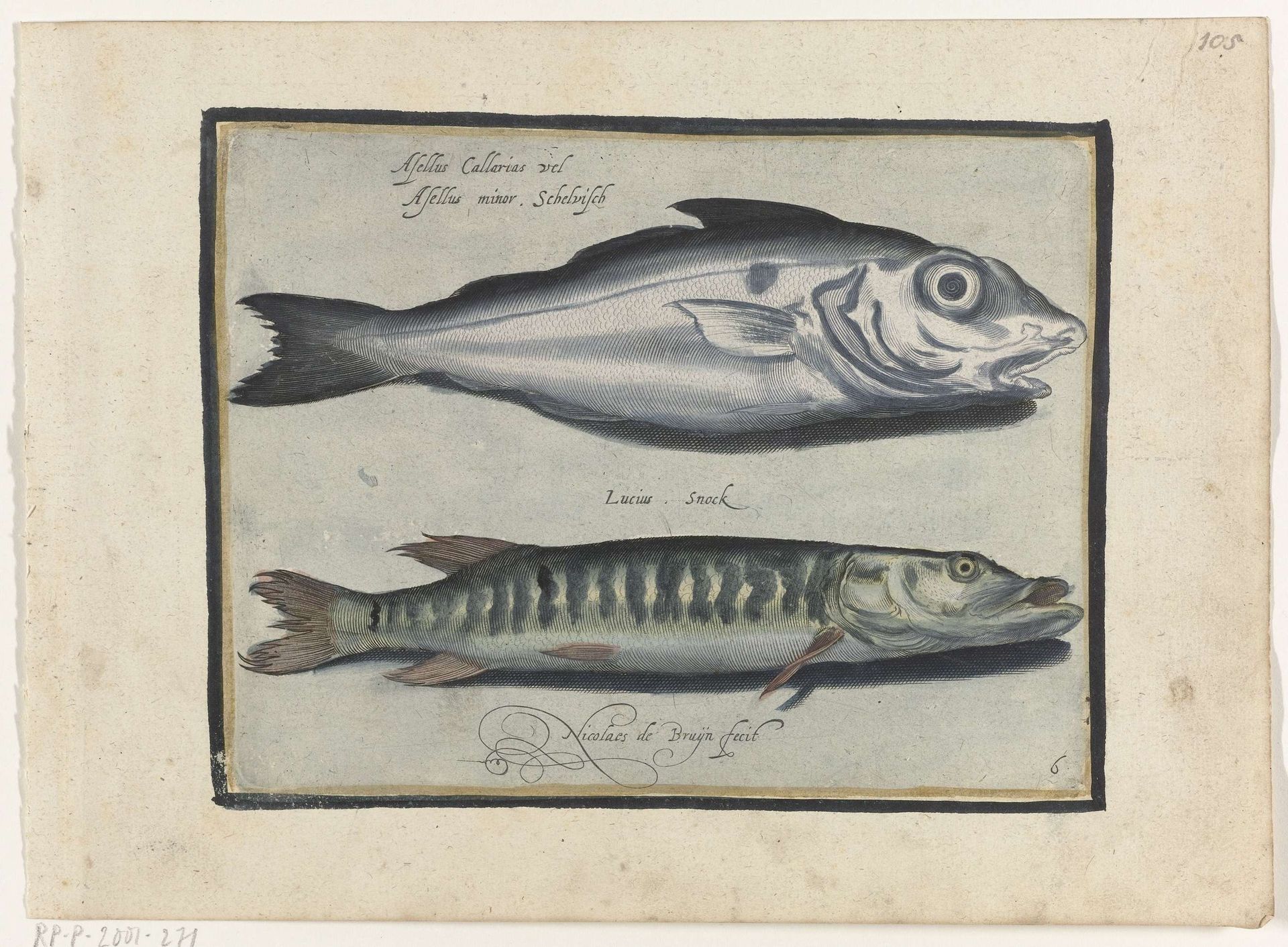 Schelvis en snoek by Nicolaes de Bruyn