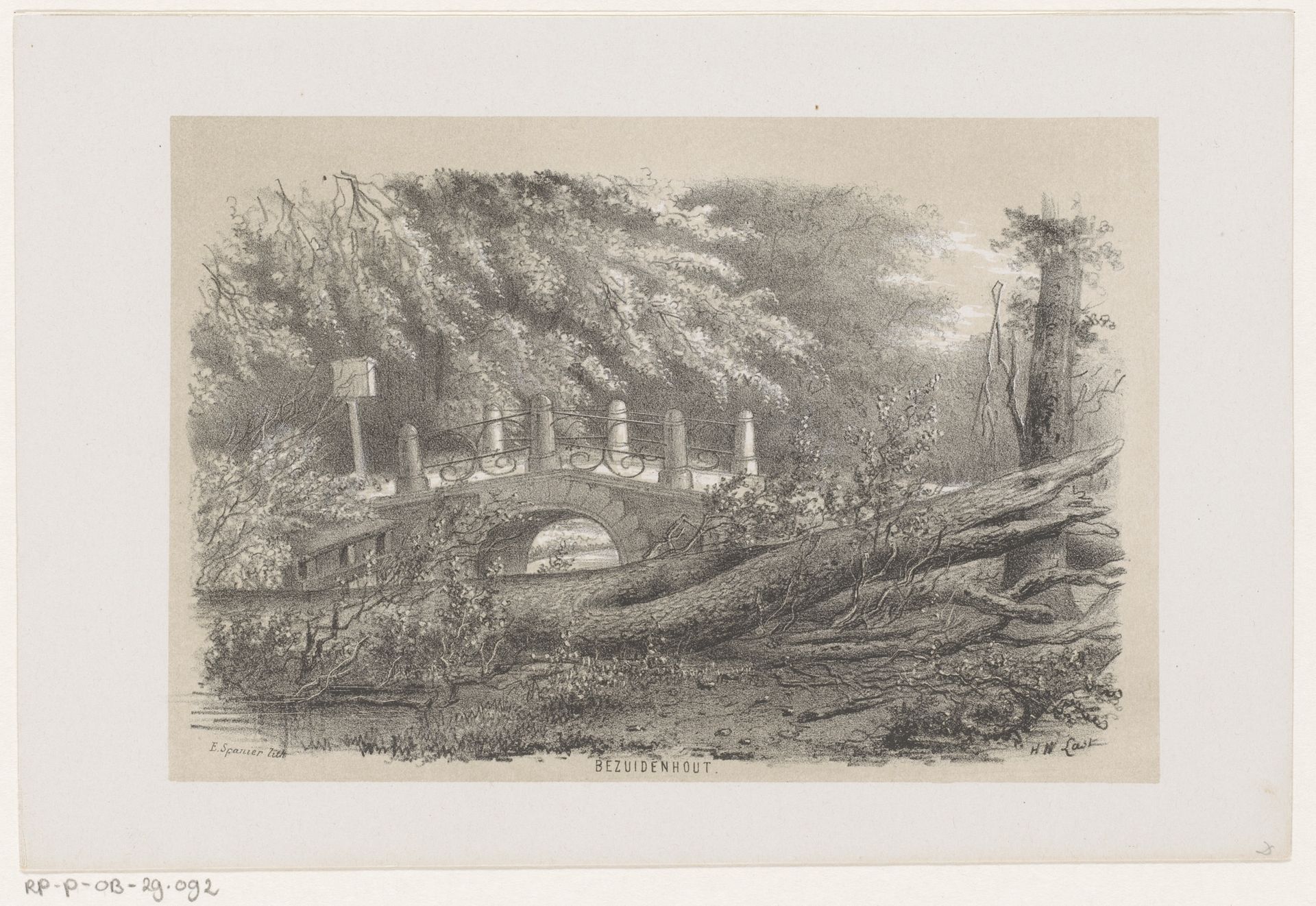 Omgewaaide boom in Bezuidenhout, na de storm van 28 mei 1860 by Hendrik Wilhelmus Last