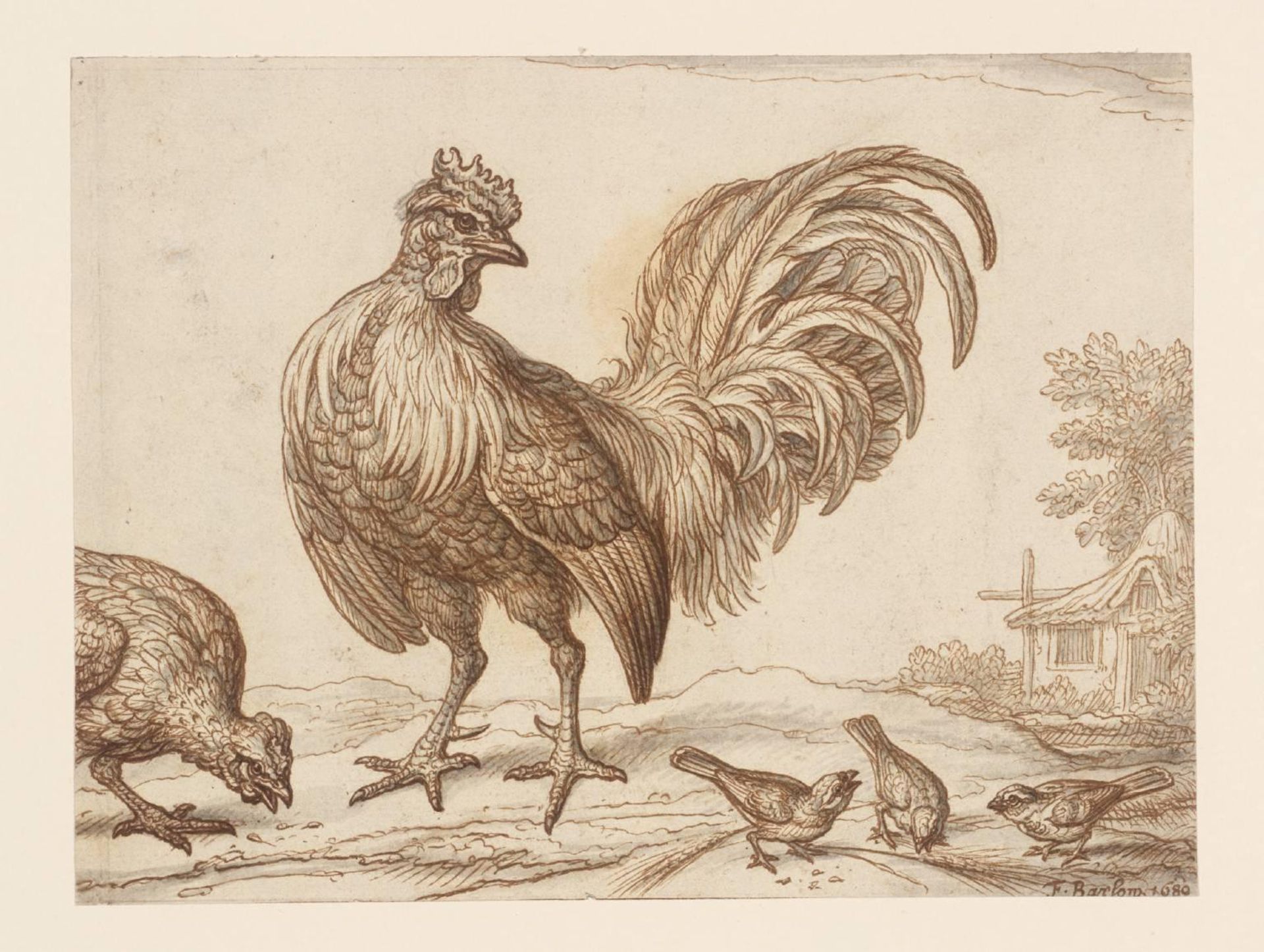 Cock, Hen and Sparrows by Francis Barlow