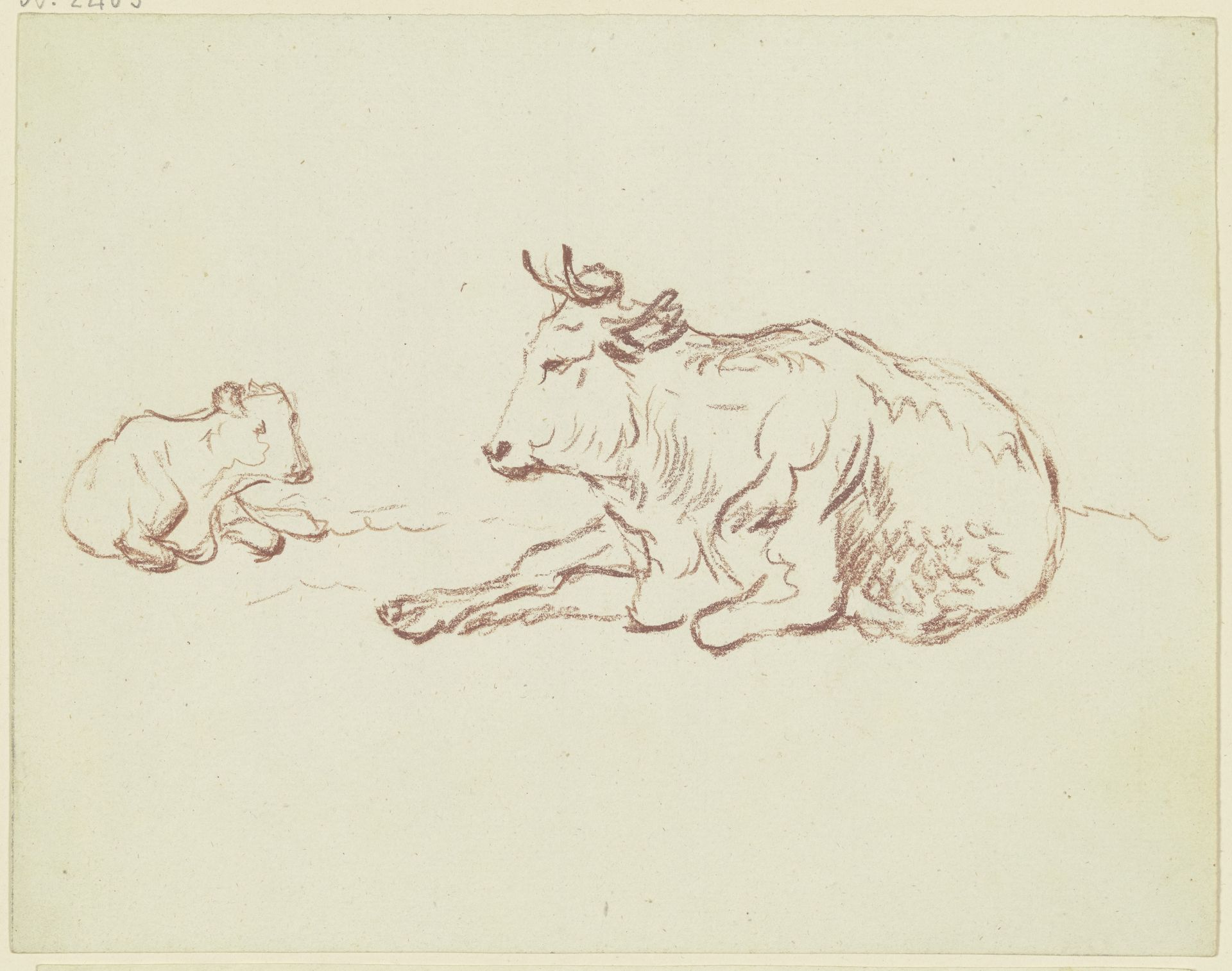 Liegende Kuh nach links mit liegendem Kalb by Friedrich Wilhelm Hirt
