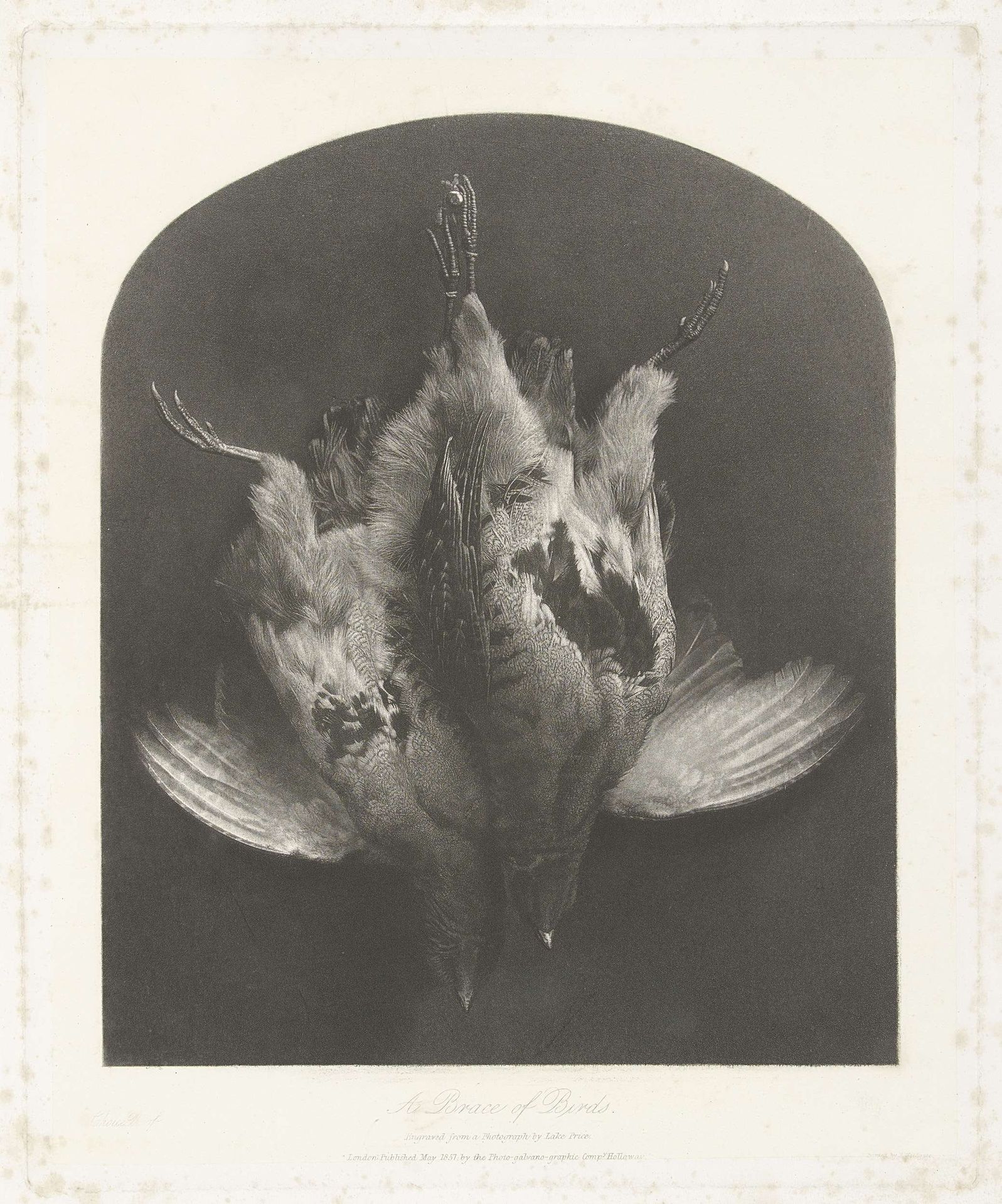 Stilleven met gevogelte by William Frederick Lake Price