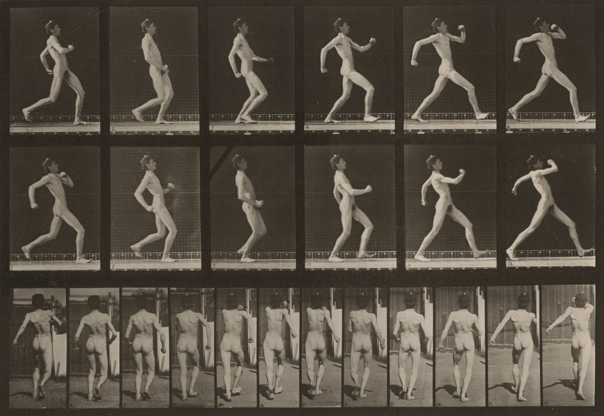 Plate Number 7. Walking by Eadweard Muybridge