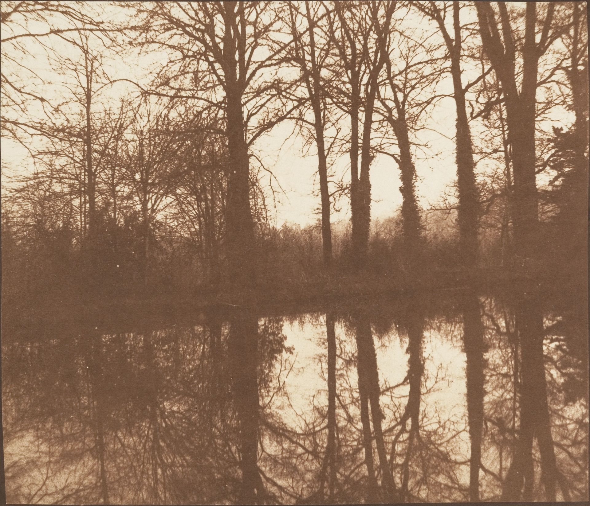[Winter Trees, Reflected in a Pond] by William Henry Fox Talbot