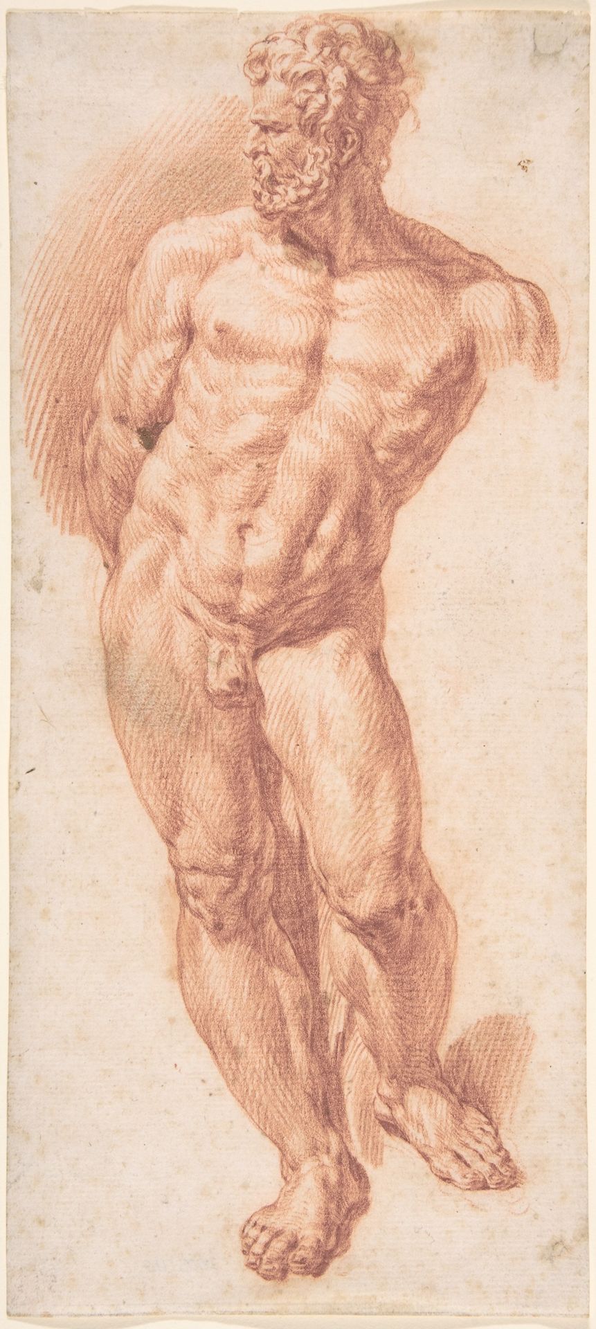 Standing Male Nude by Denijs Calvaert