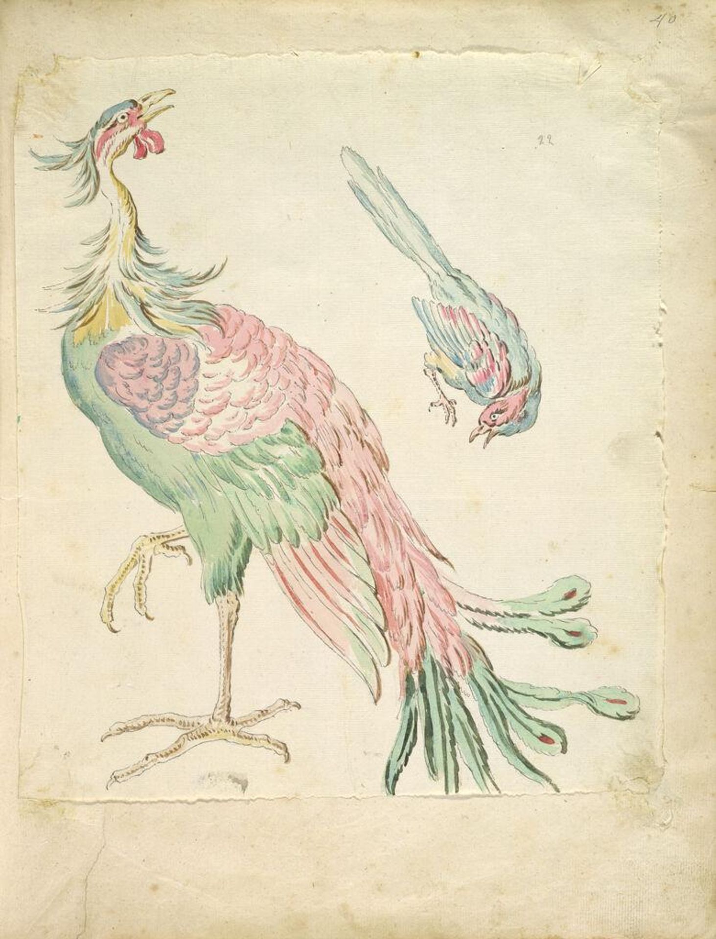 Standing Peacock and Small Perched Bird; verso: blank by Jean-Baptiste Oudry