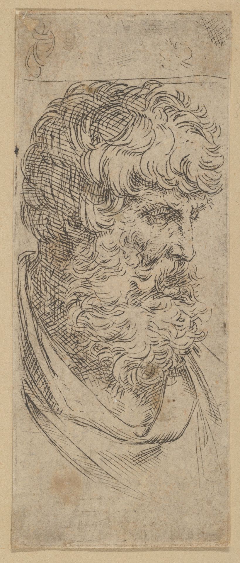 Bust of a bearded man by Guido Reni