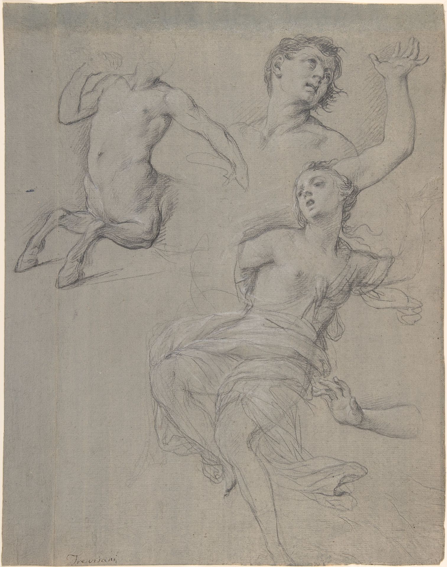 Studies for the Figure of a Centaur and a Nymph by Francesco Trevisani