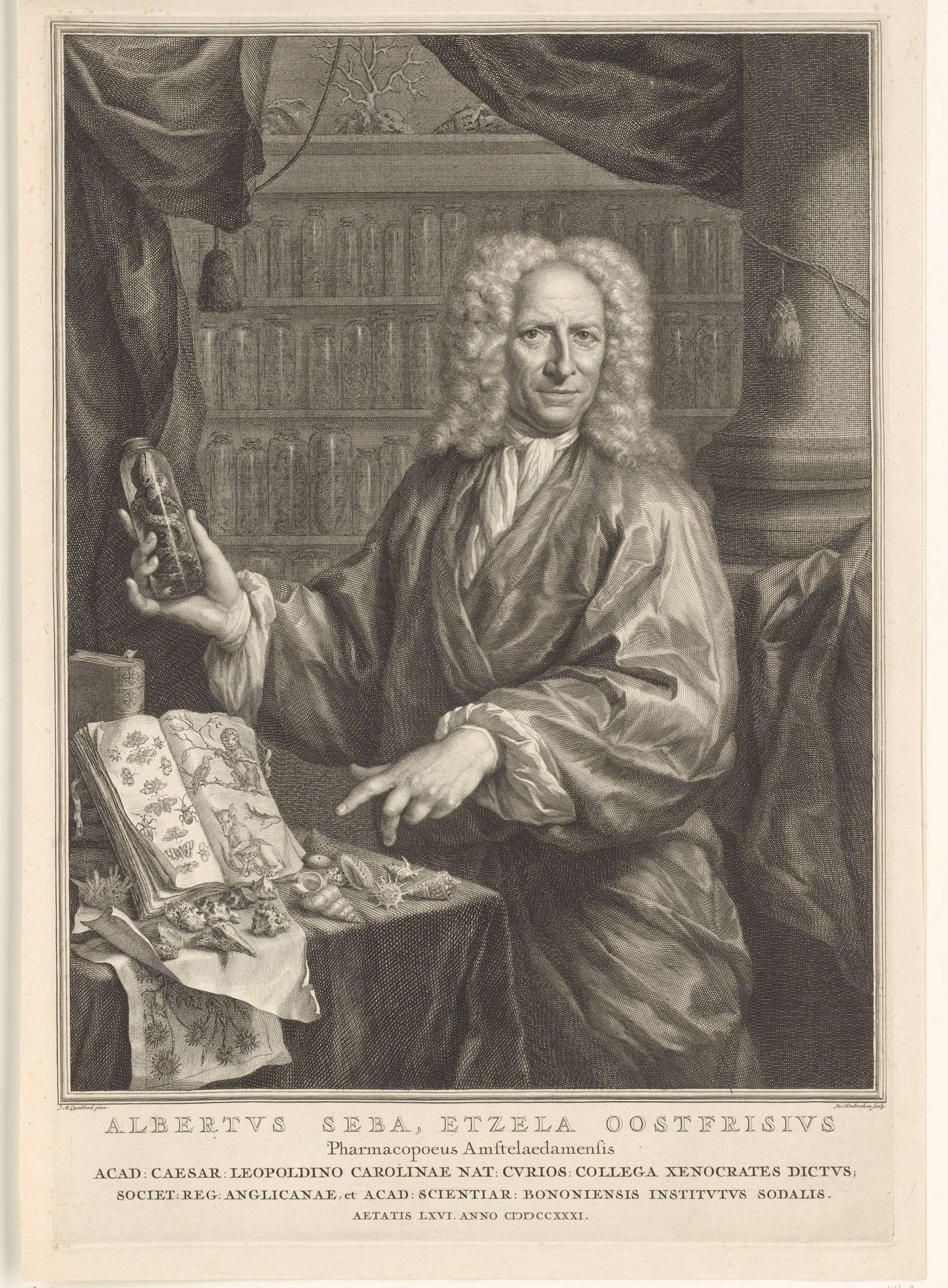 Portrait of Albertus Seba by Jacob Houbraken