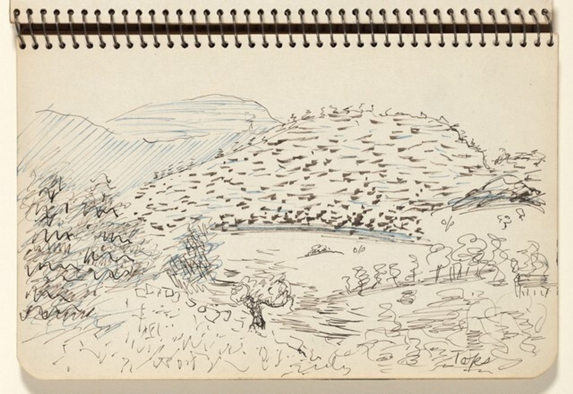 Vermont Landscape by Milton Avery