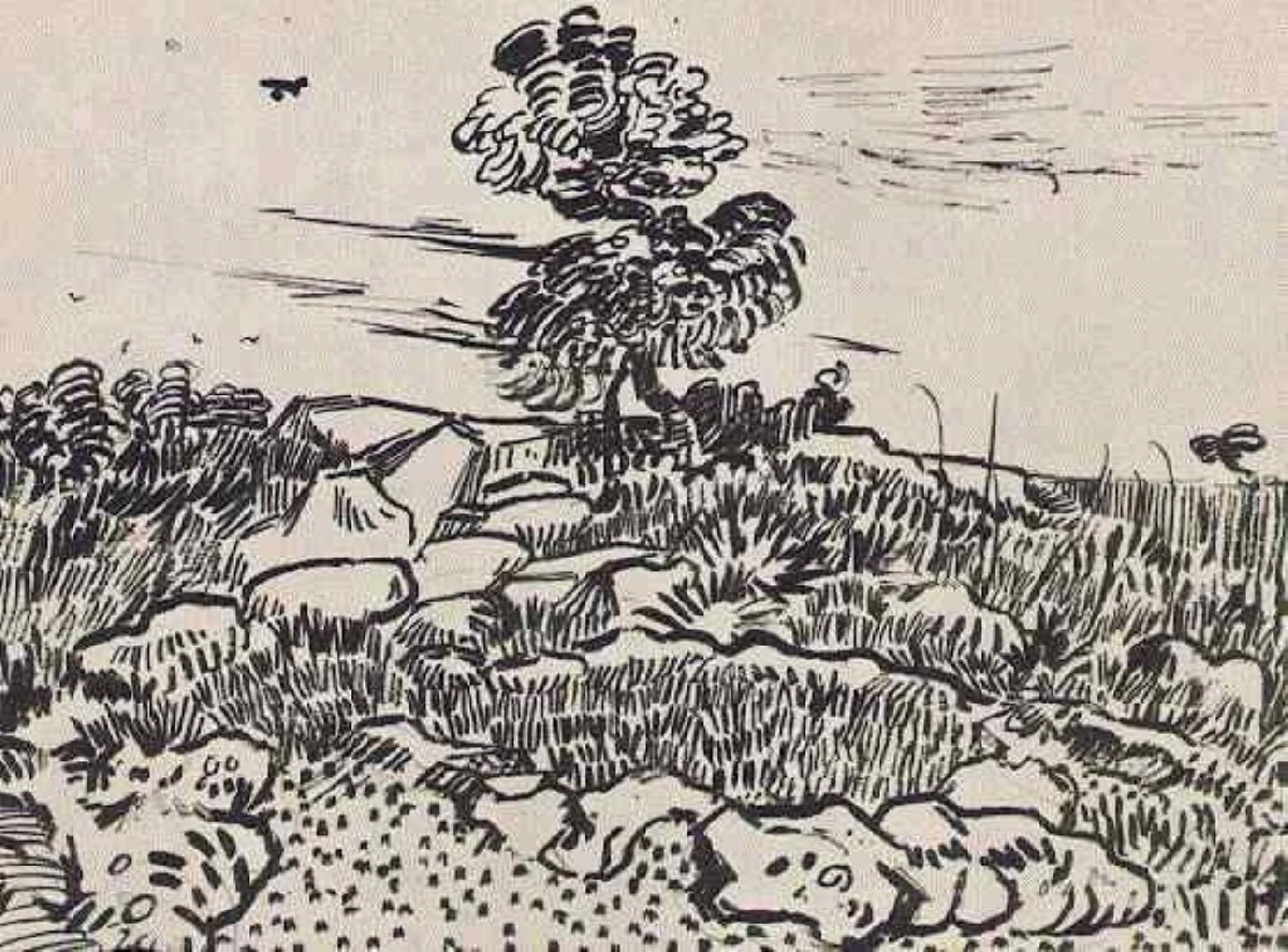 Rocks with Oak Tree by Vincent van Gogh
