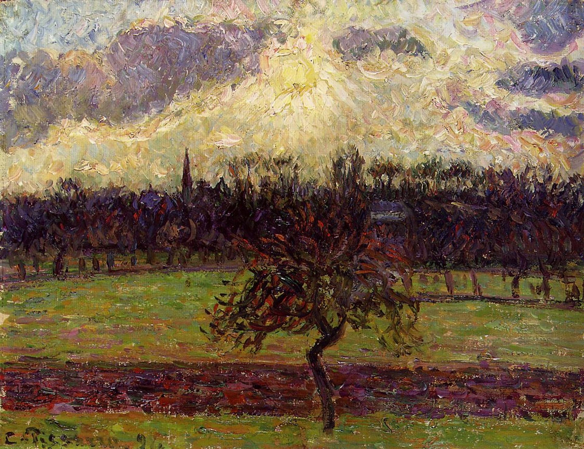 The Fields of Eragny, the Apple Tree by Camille Pissarro