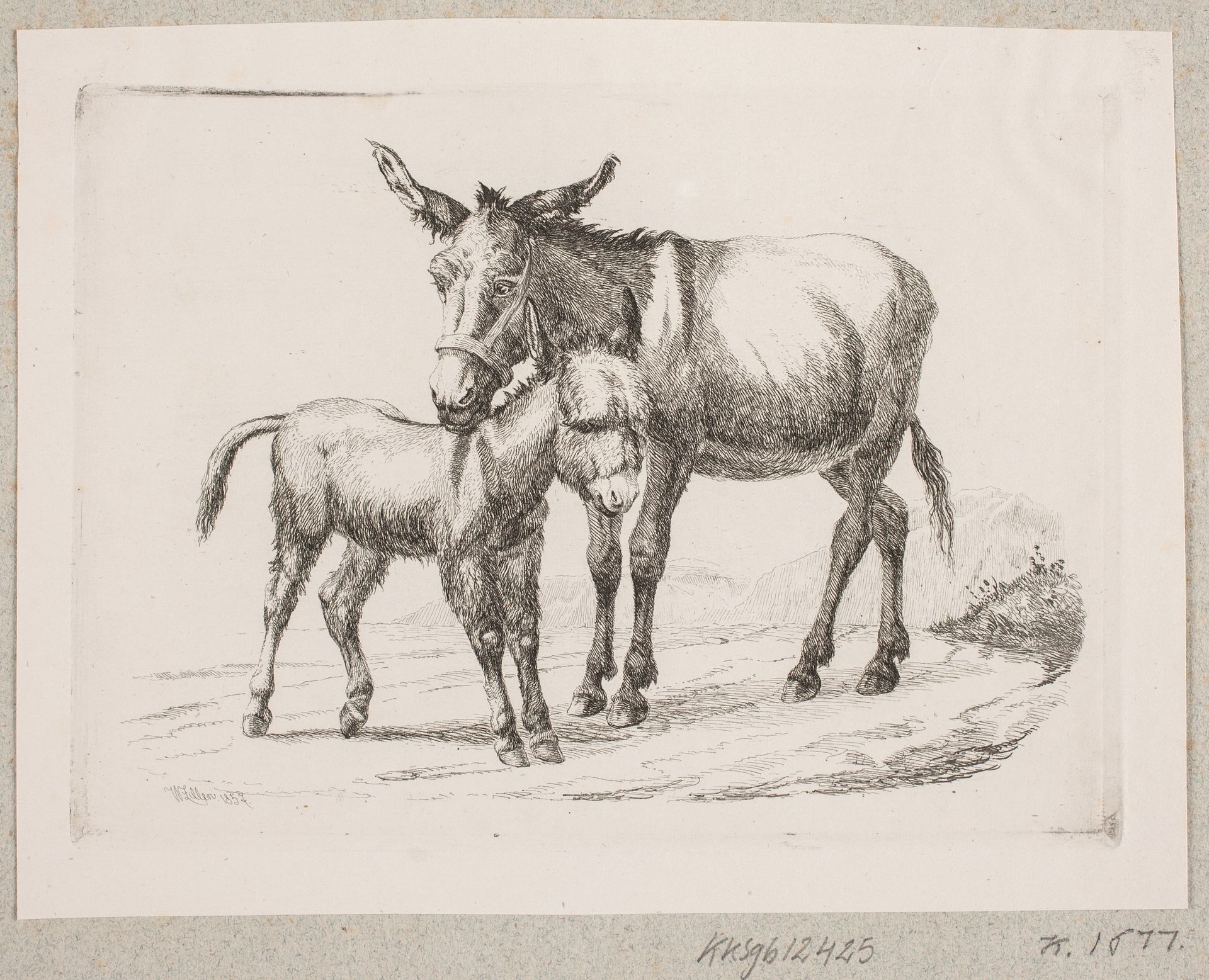 Et æsel med sit føl by Johannes Wilhelm Zillen