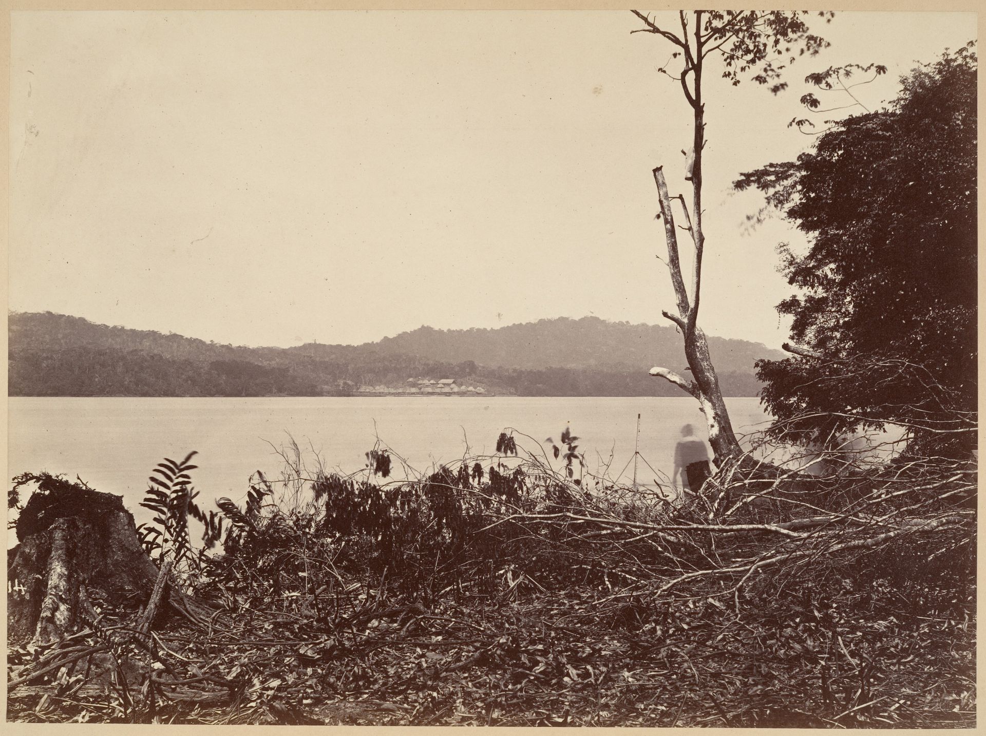 Tropical Scenery, Darien Harbor, Chipigana by John Moran