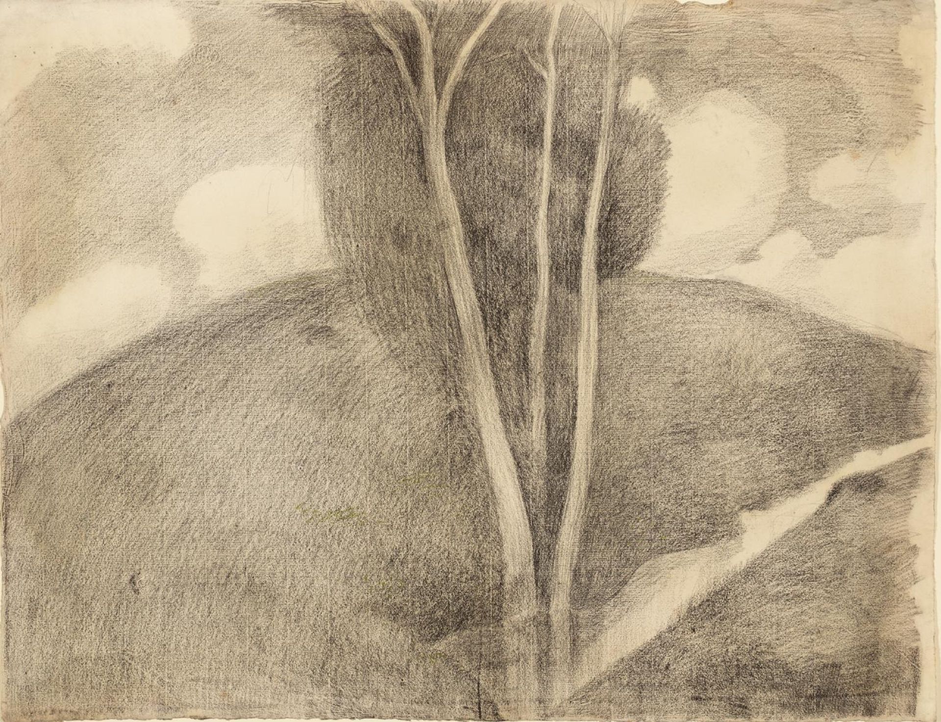 Three Trees by  Joan González