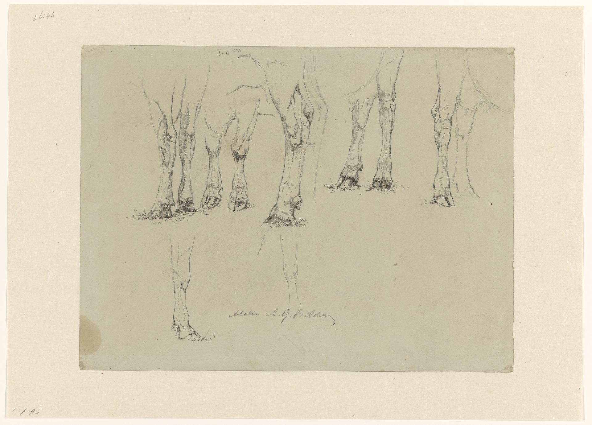 Schetsblad met studies van koeienpoten by Gerard Bilders