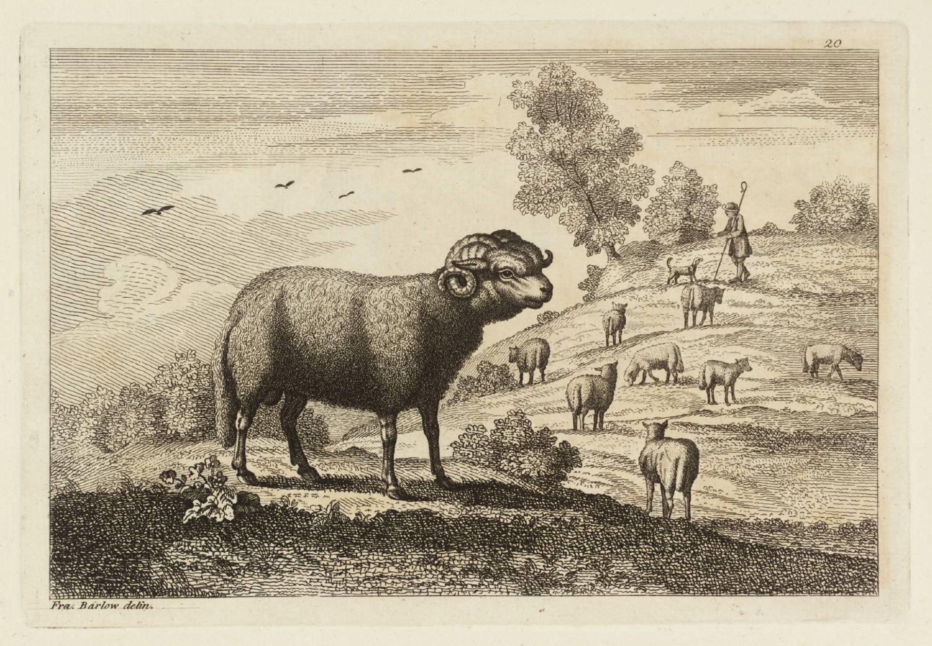 [title not known] by Francis Barlow
