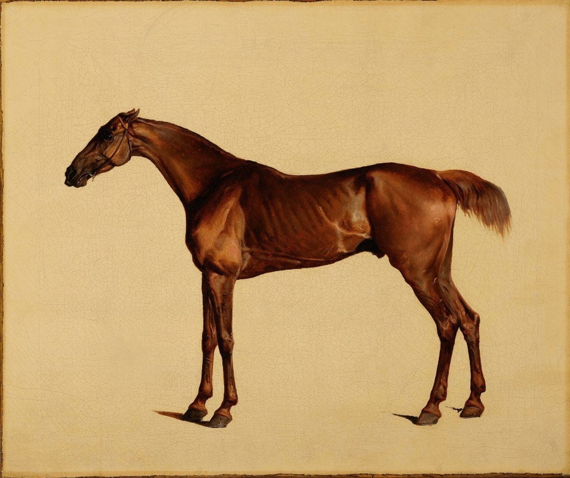 Pangloss by George Stubbs