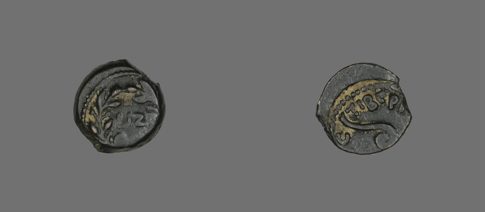 Coin Depicting an Olive Wreath by Judean