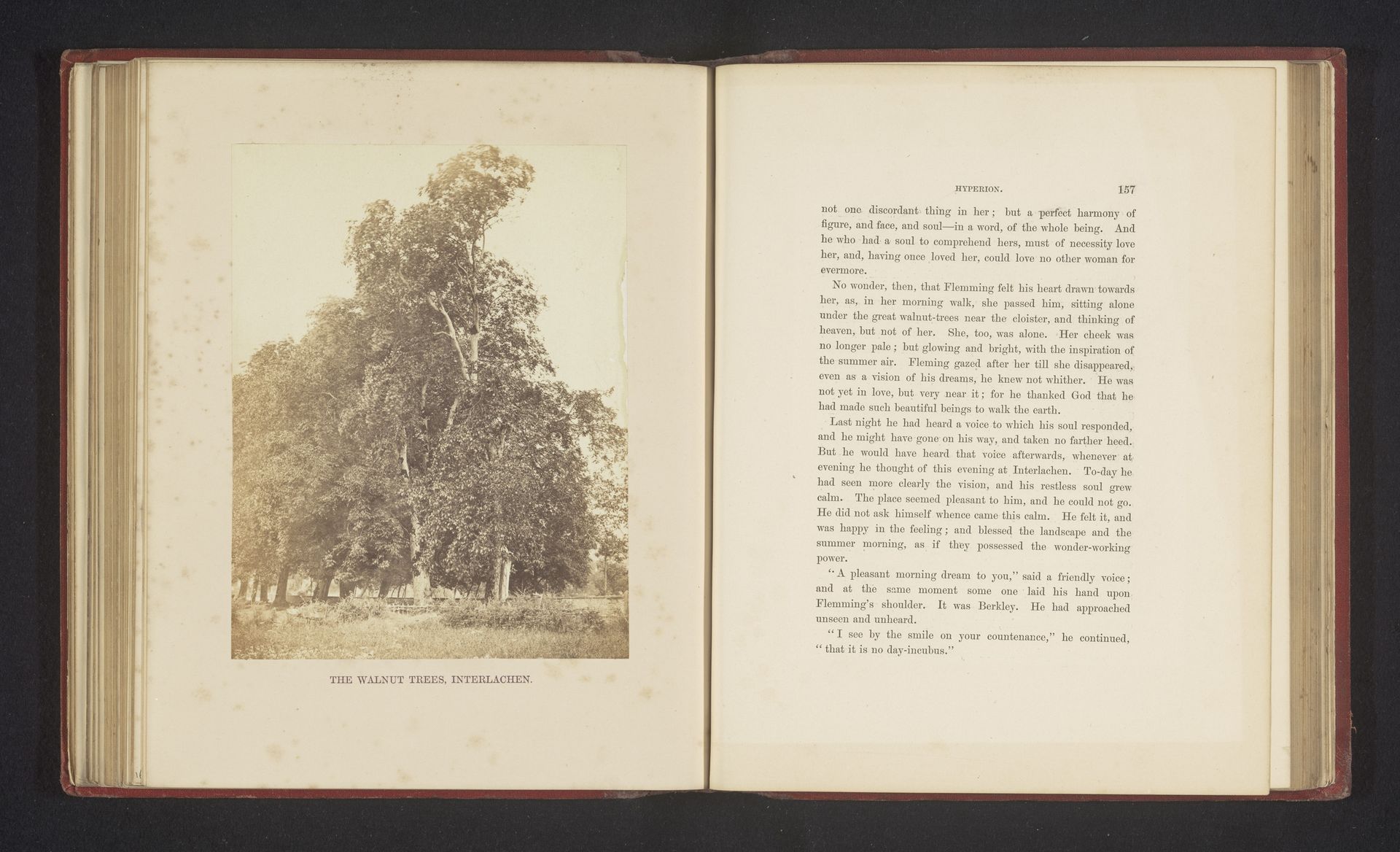 Walnootbomen in Interlaken by Francis Frith