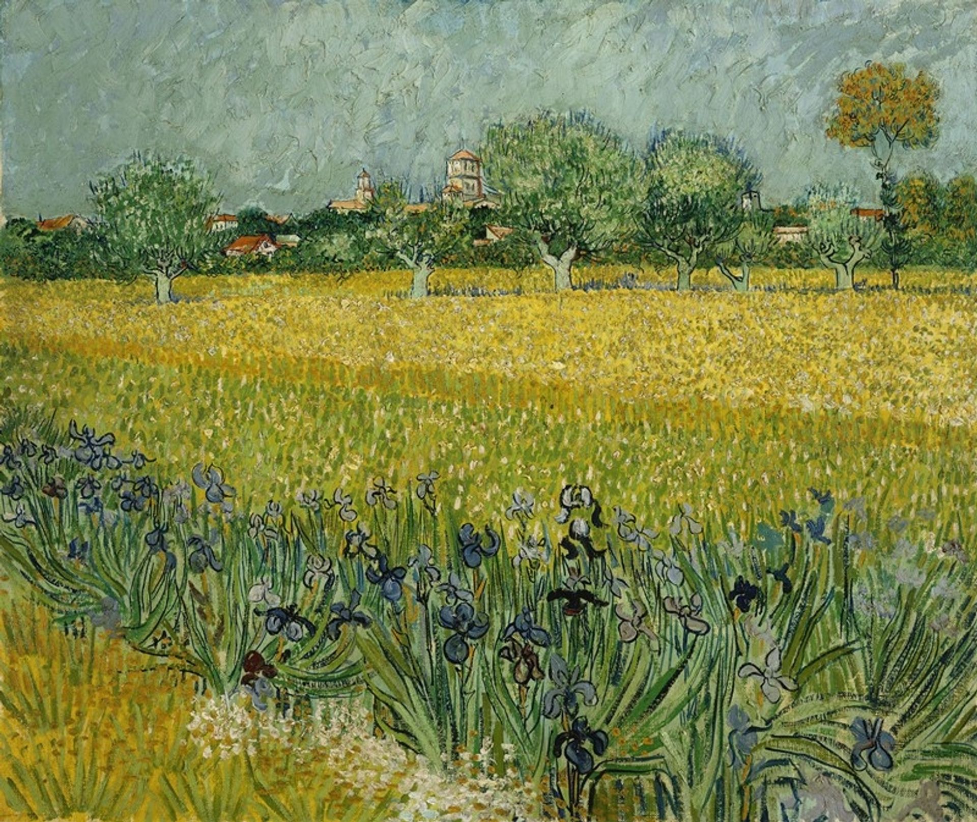 Field with flowers near Arles by Vincent van Gogh