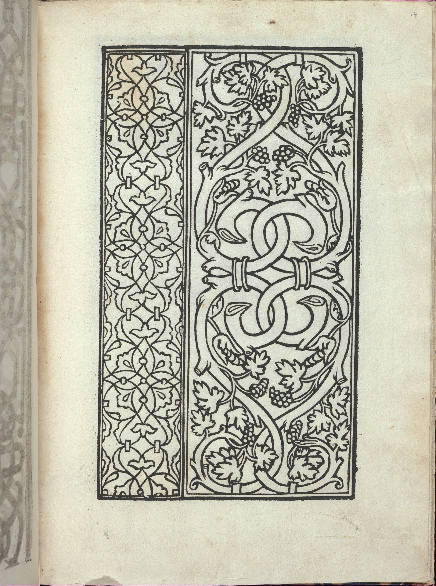Libro quarto. De rechami per elquale se impara in diuersi modi lordine e il modo de recamare...Opera noua, page 14 (recto) by Alessandro Paganino