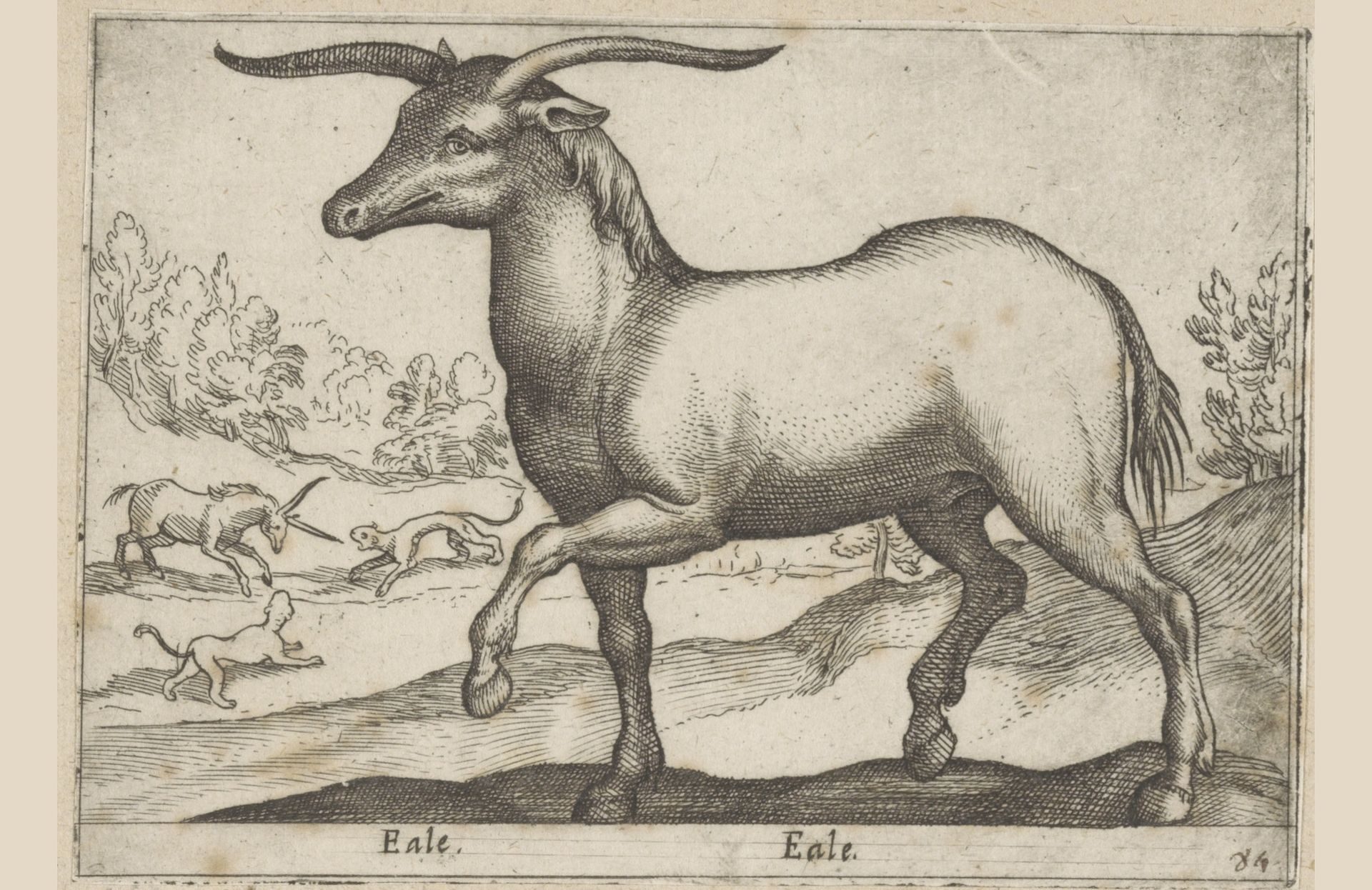 Paard met hoorns by Antonio Tempesta
