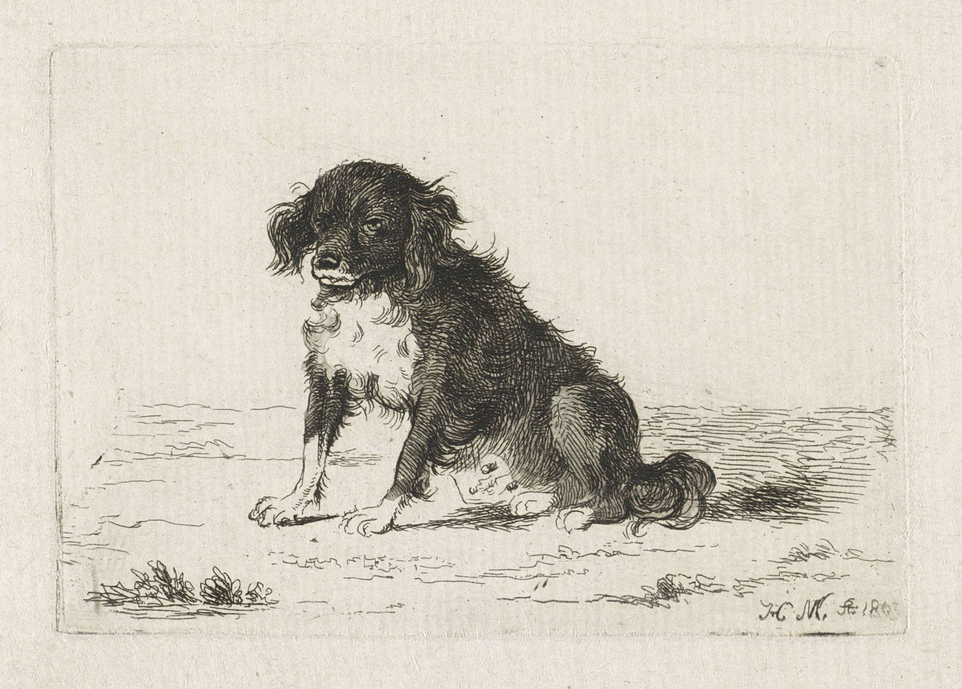Zittende hond by Monogrammist HM (19e eeuw)