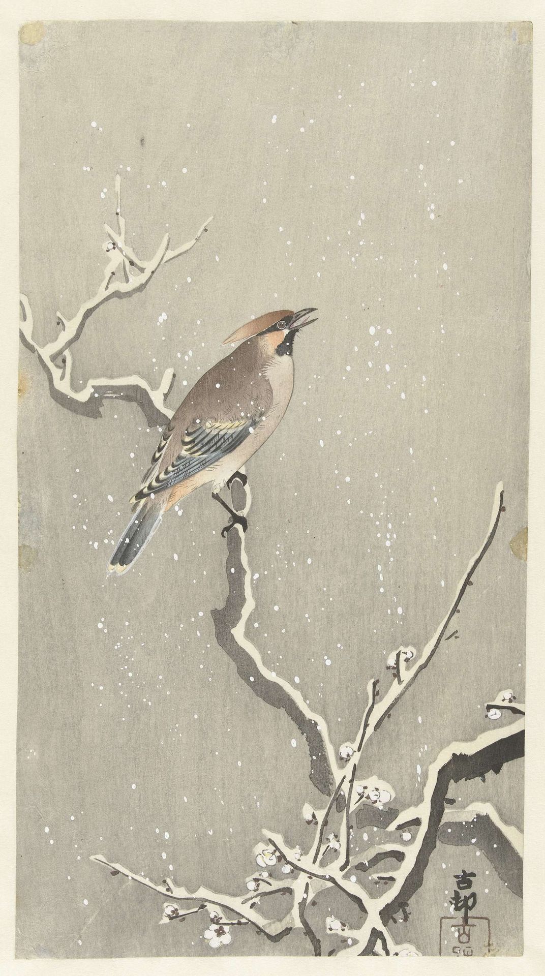 Pestvogel op besneeuwde tak by Ohara Koson