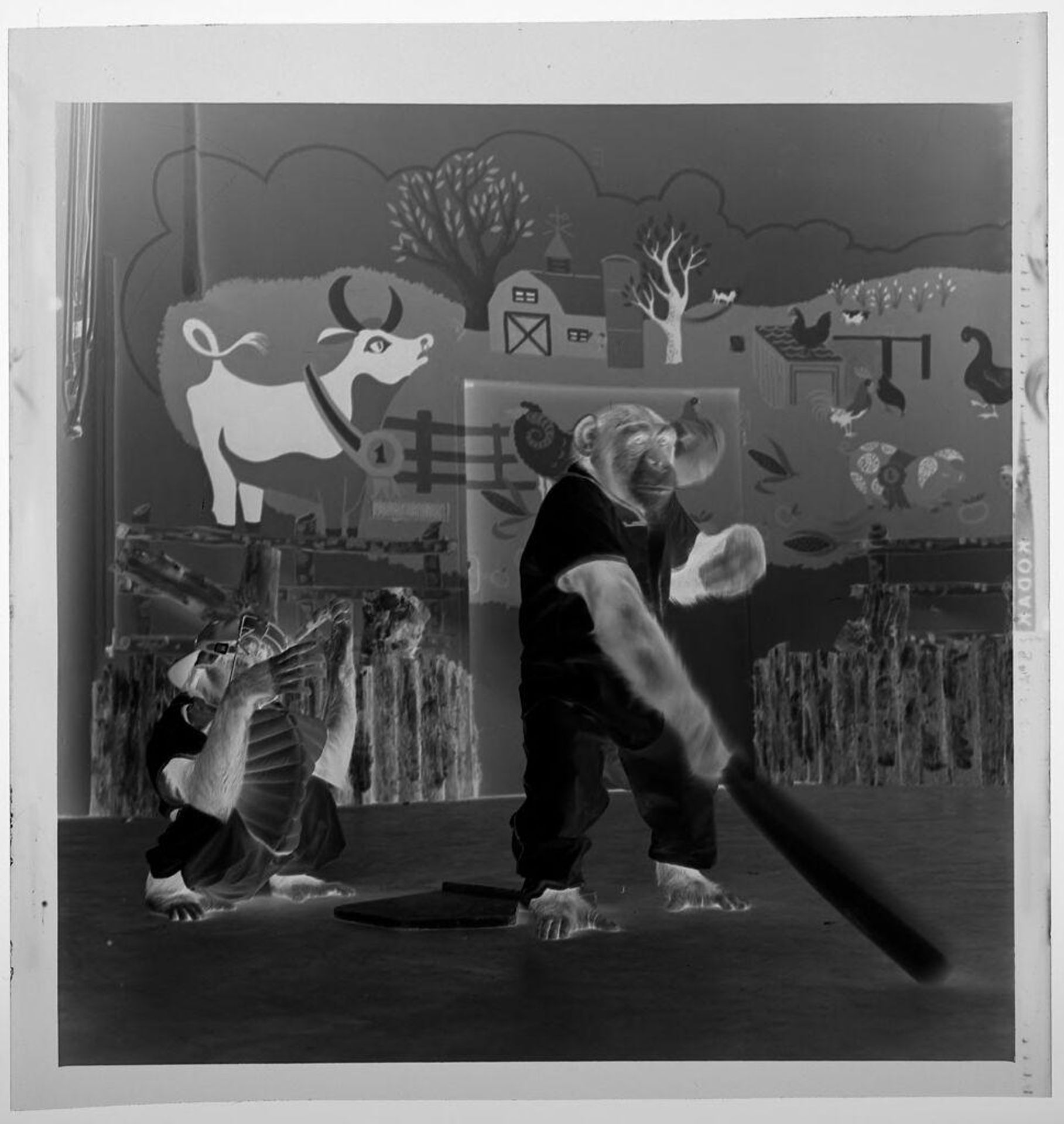 Untitled (two chimps on stage playing baseball) by Jack Gould