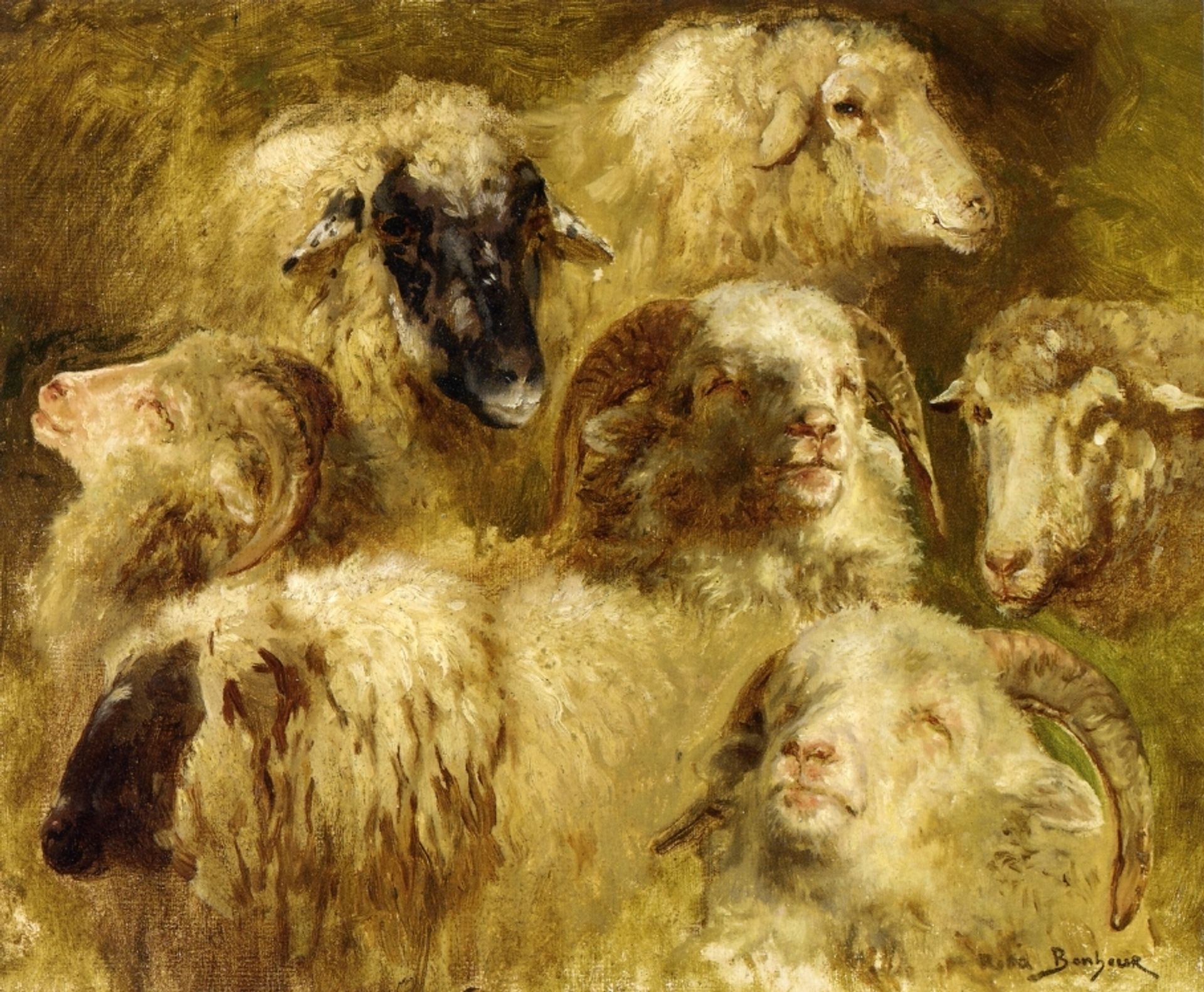Heads of Ewes and Rams by Rosa Bonheur