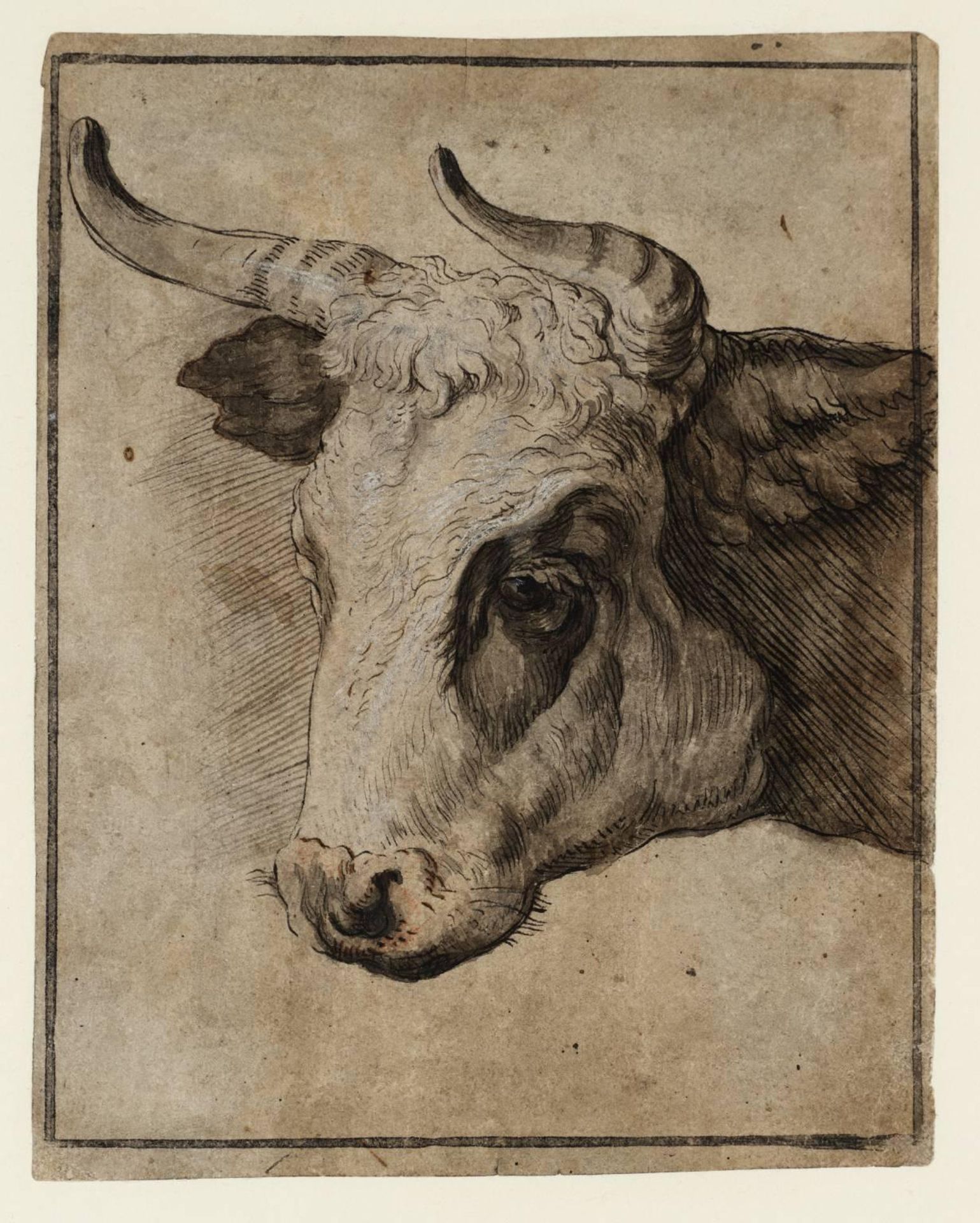 Side View of a Bull’s Head by Joseph Highmore