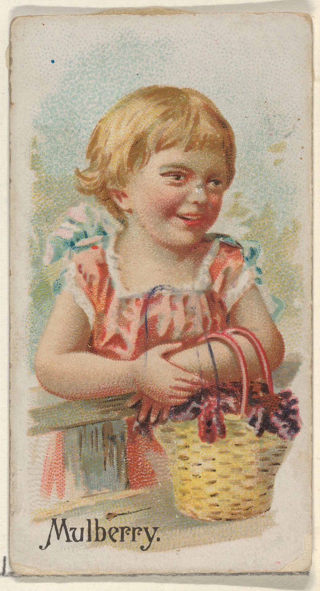 Mulberry, from the Fruits series (N12) for Allen & Ginter Cigarettes Brands by Allen & Ginter