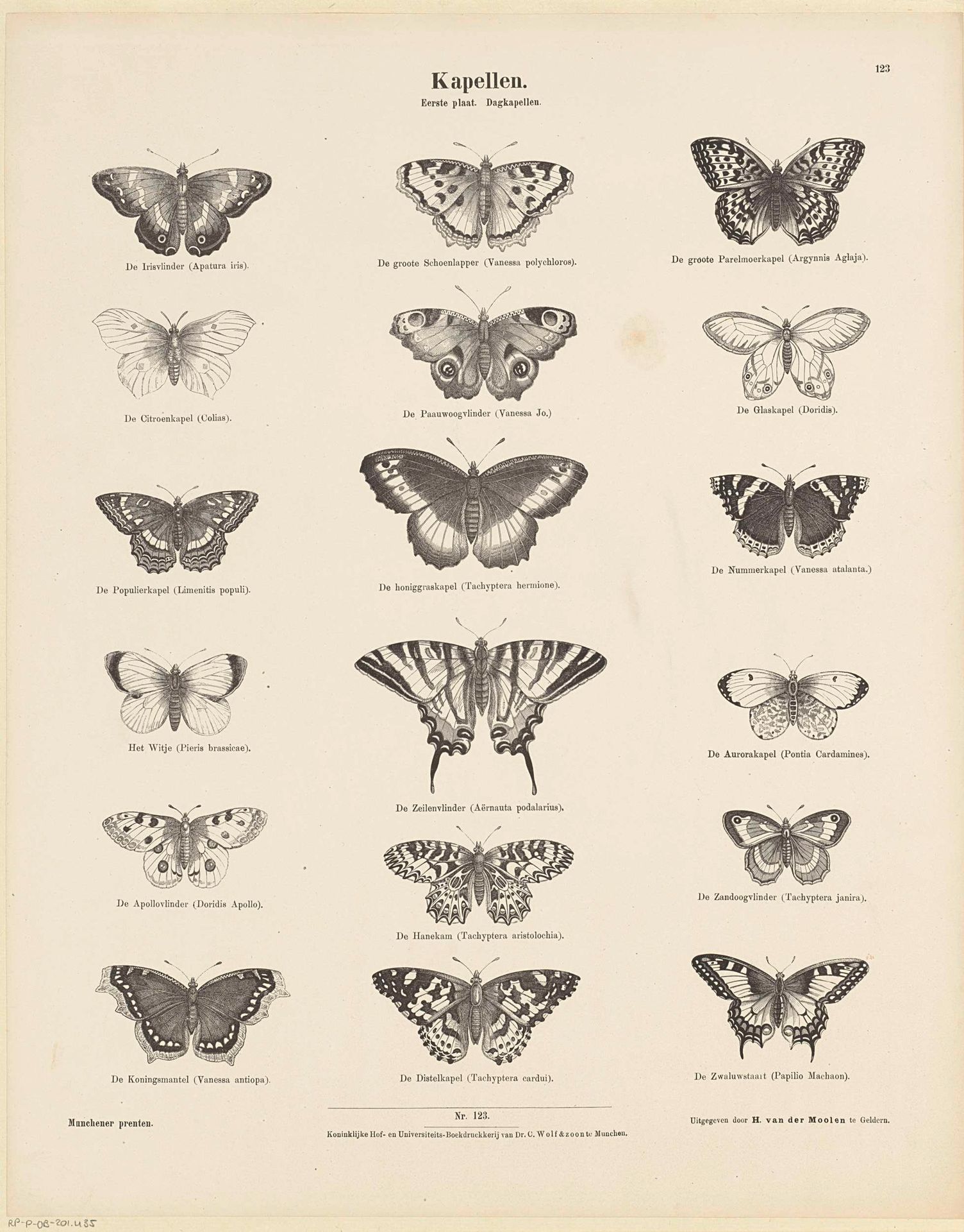 Kapellen / Eerste plaat. Dagkapellen by Ernst Fröhlich